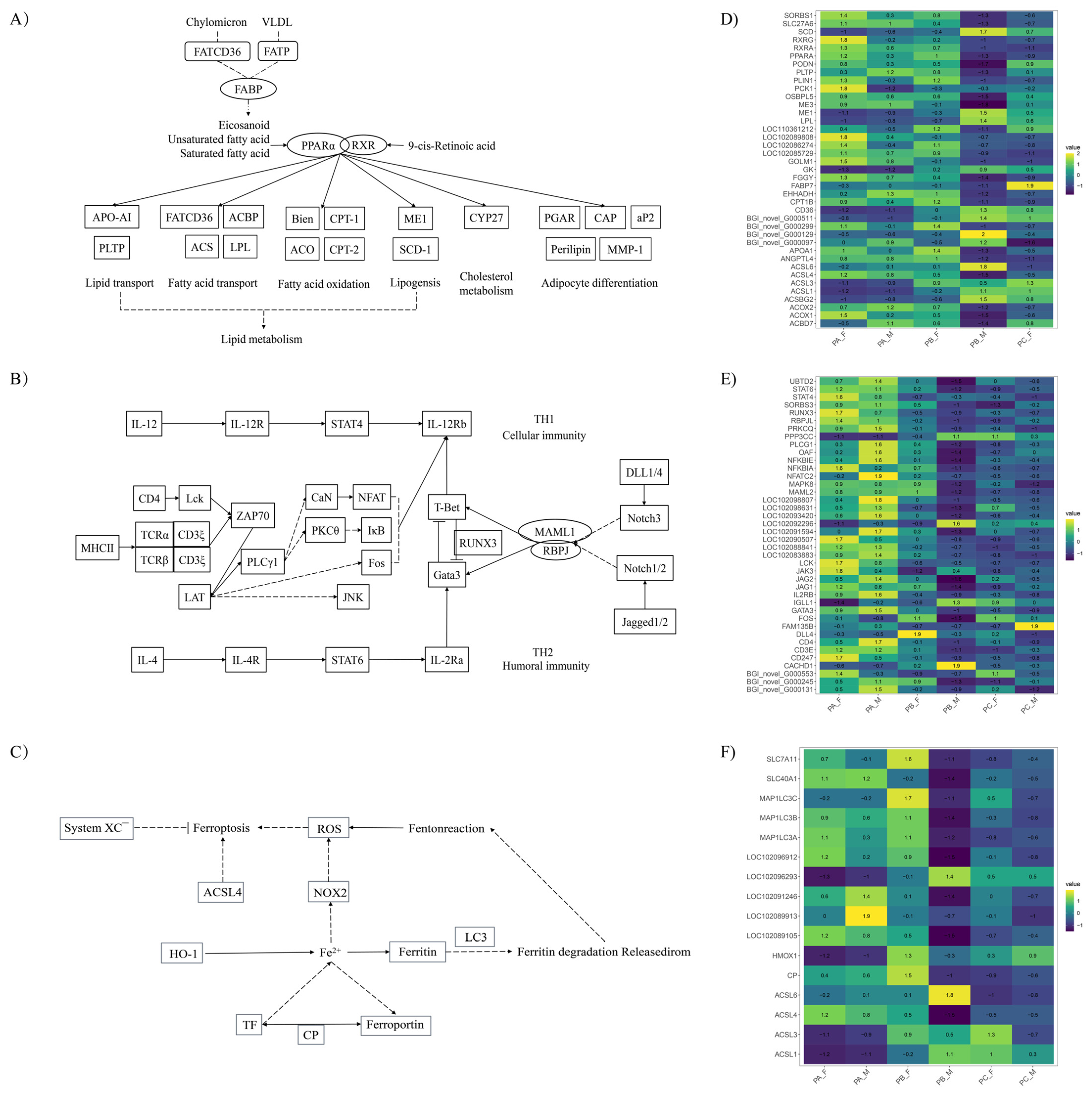 Animals 14 00075 g003