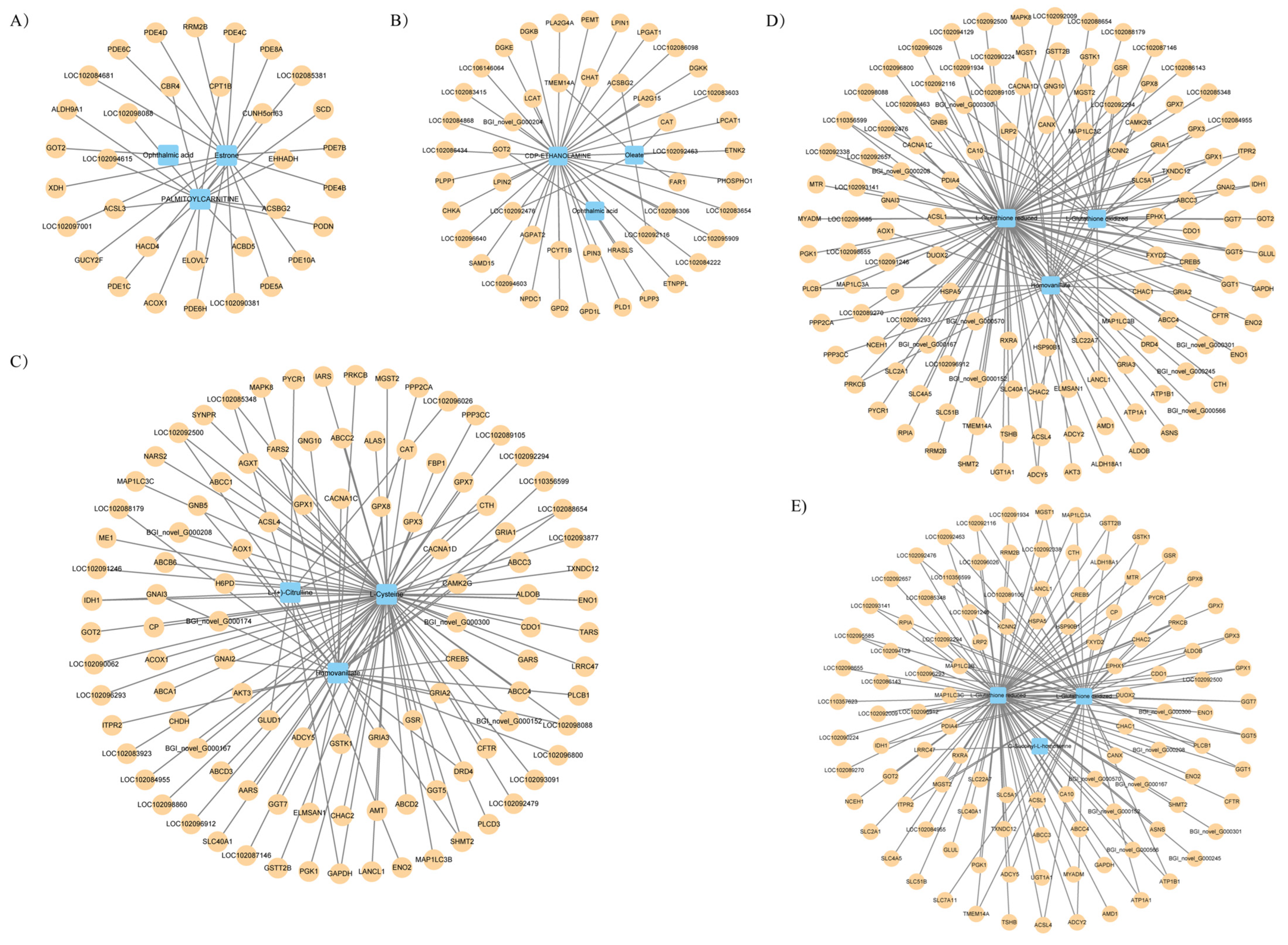 Animals 14 00075 g004