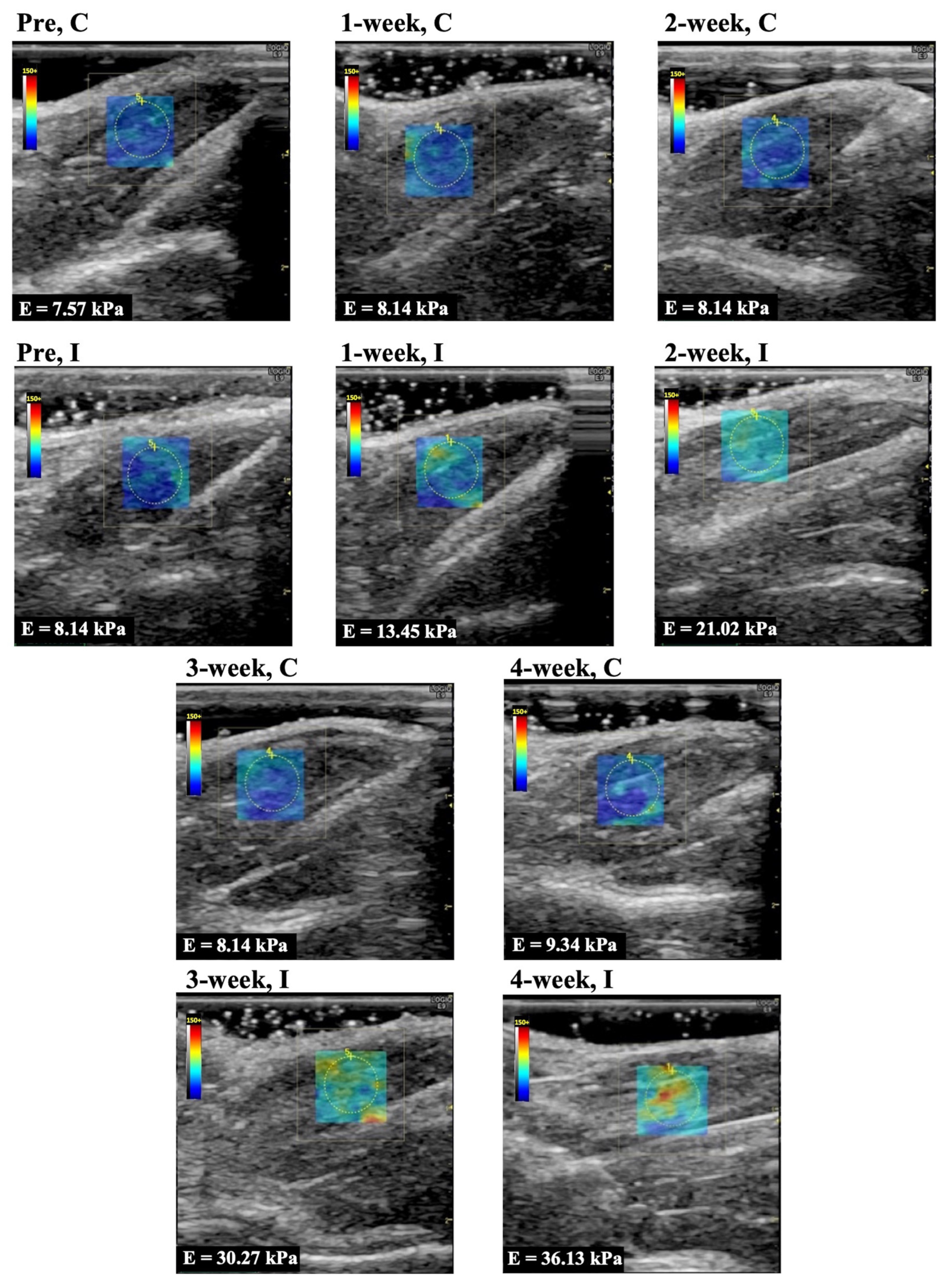Animals 14 00076 g002