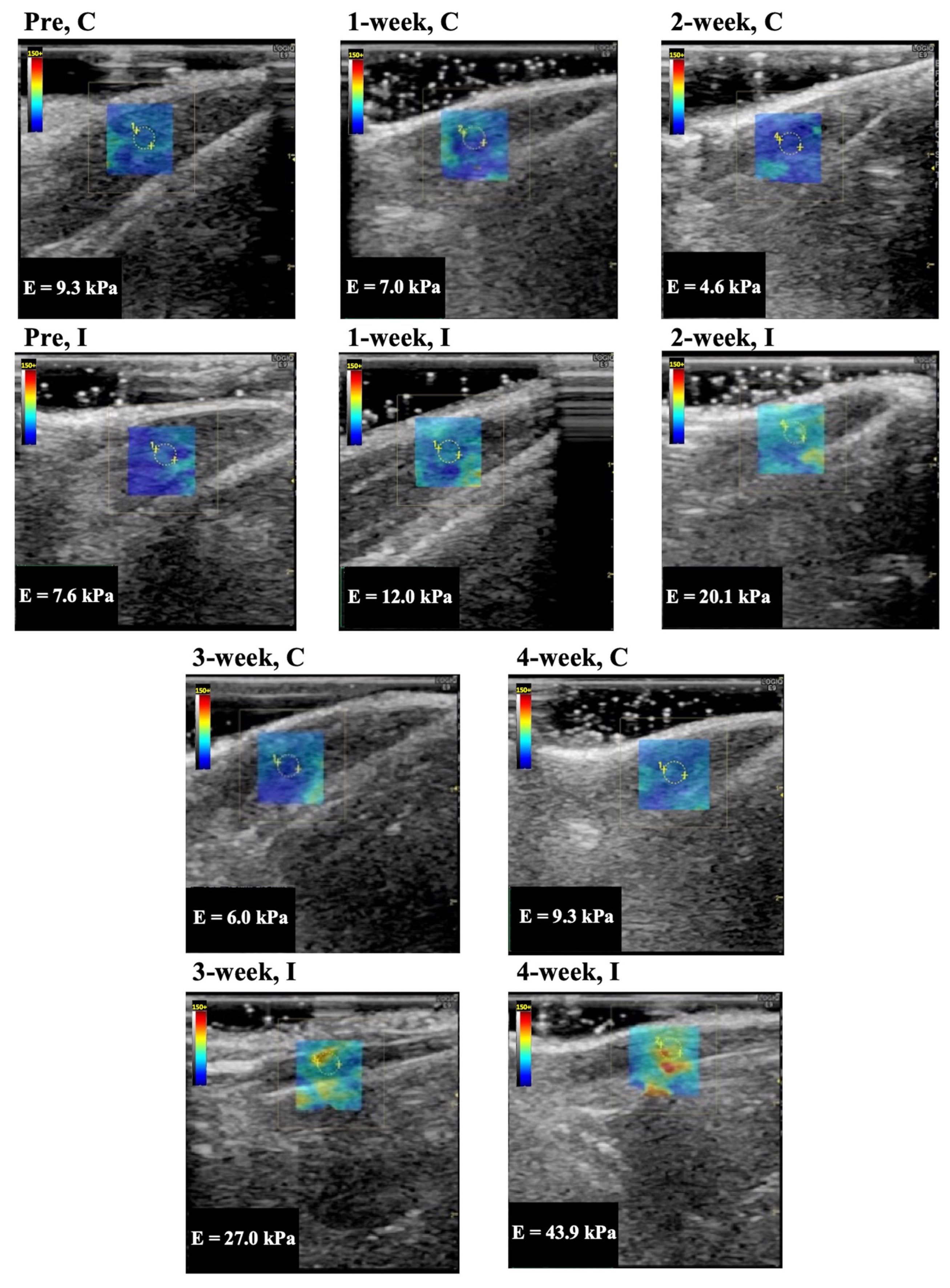 Animals 14 00076 g003
