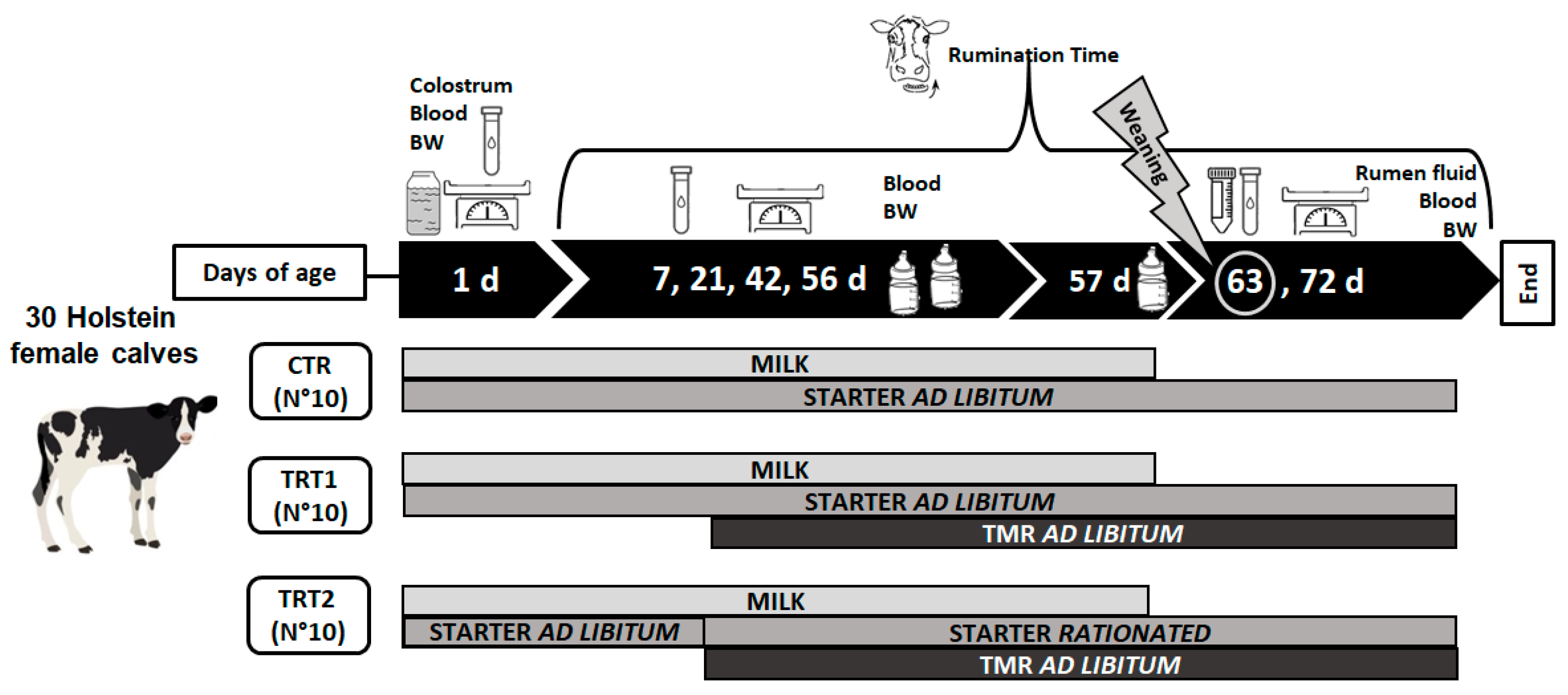 Animals 14 00081 g001