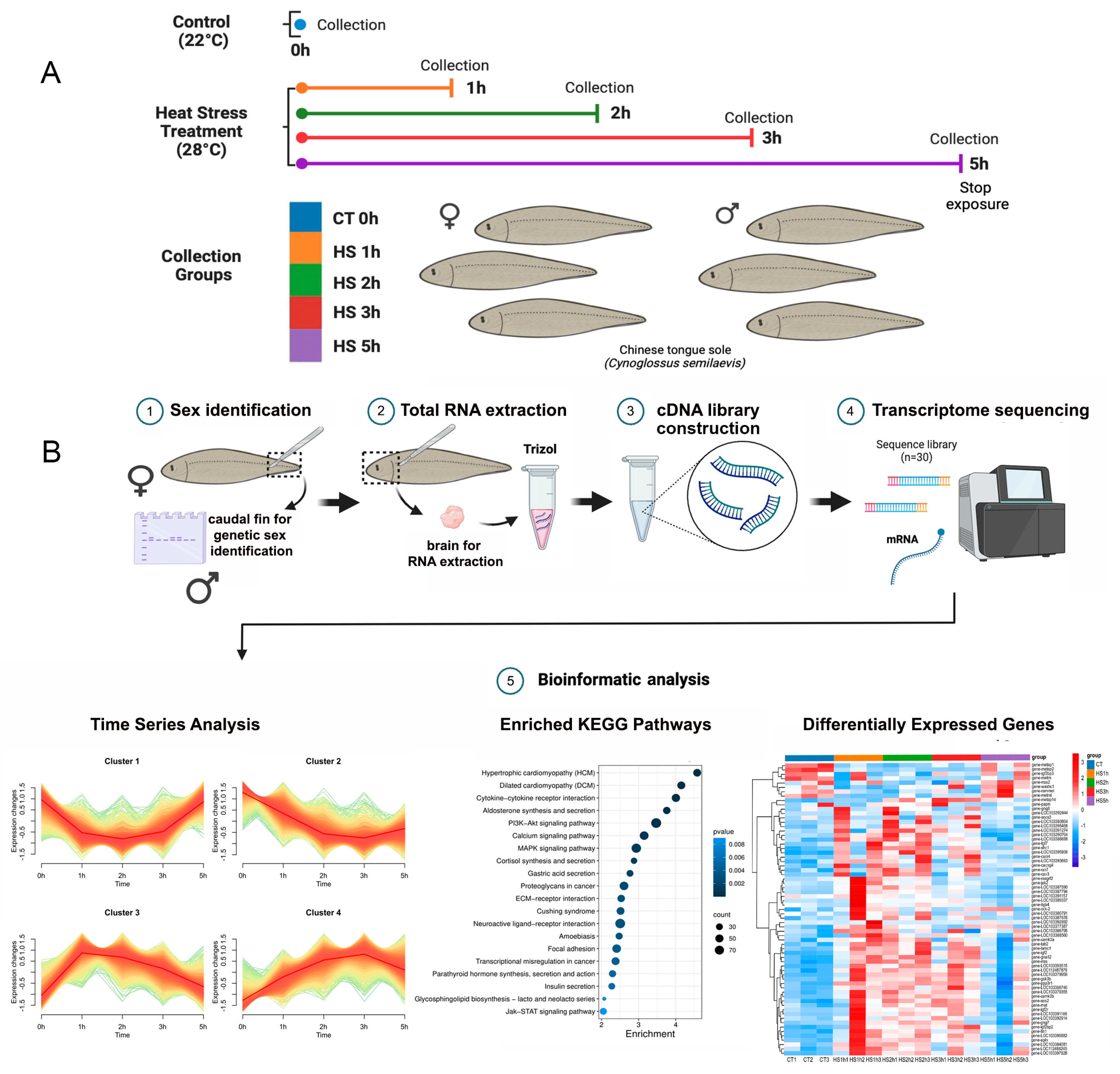 Animals 14 00084 g001