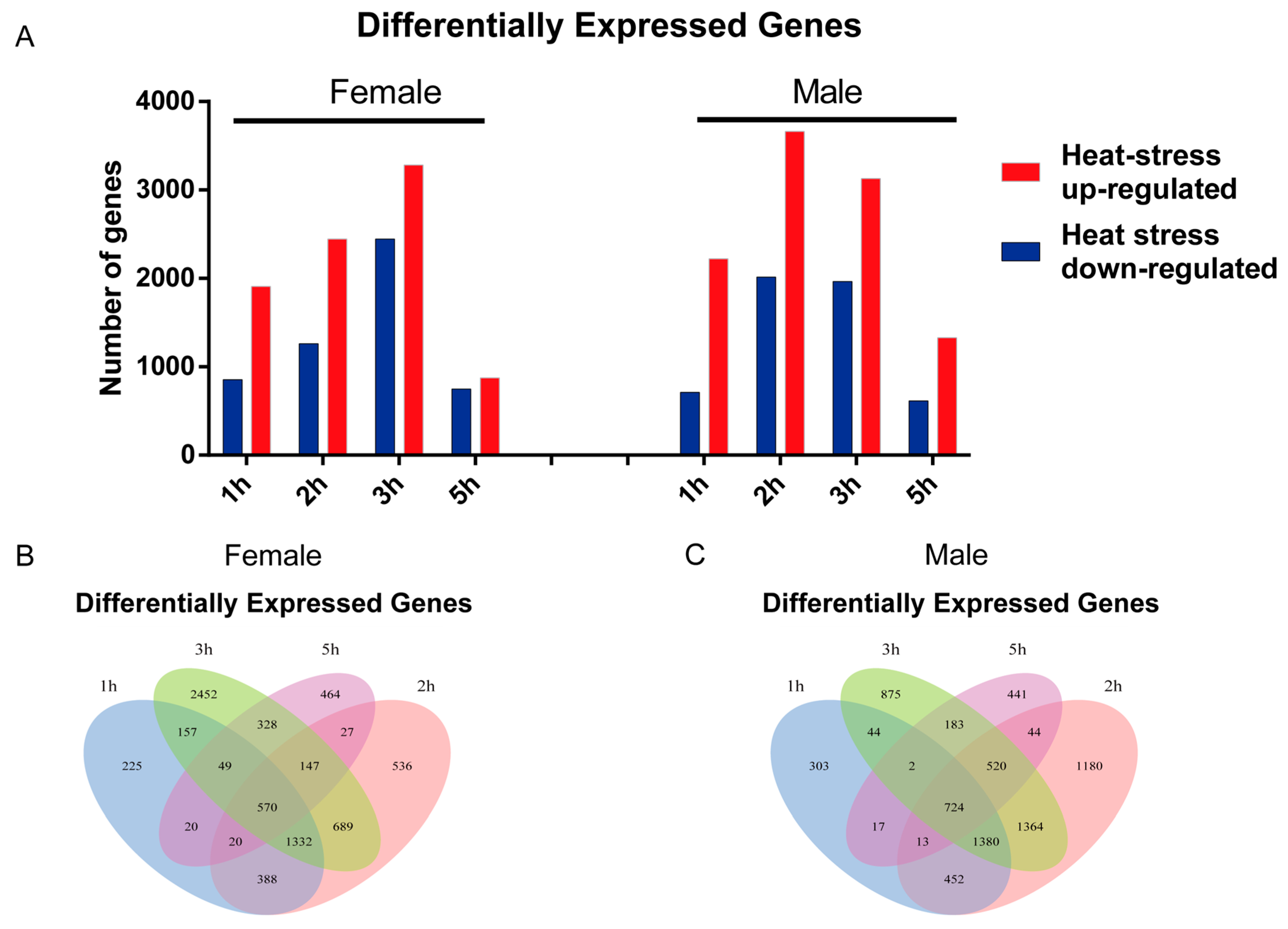 Animals 14 00084 g002