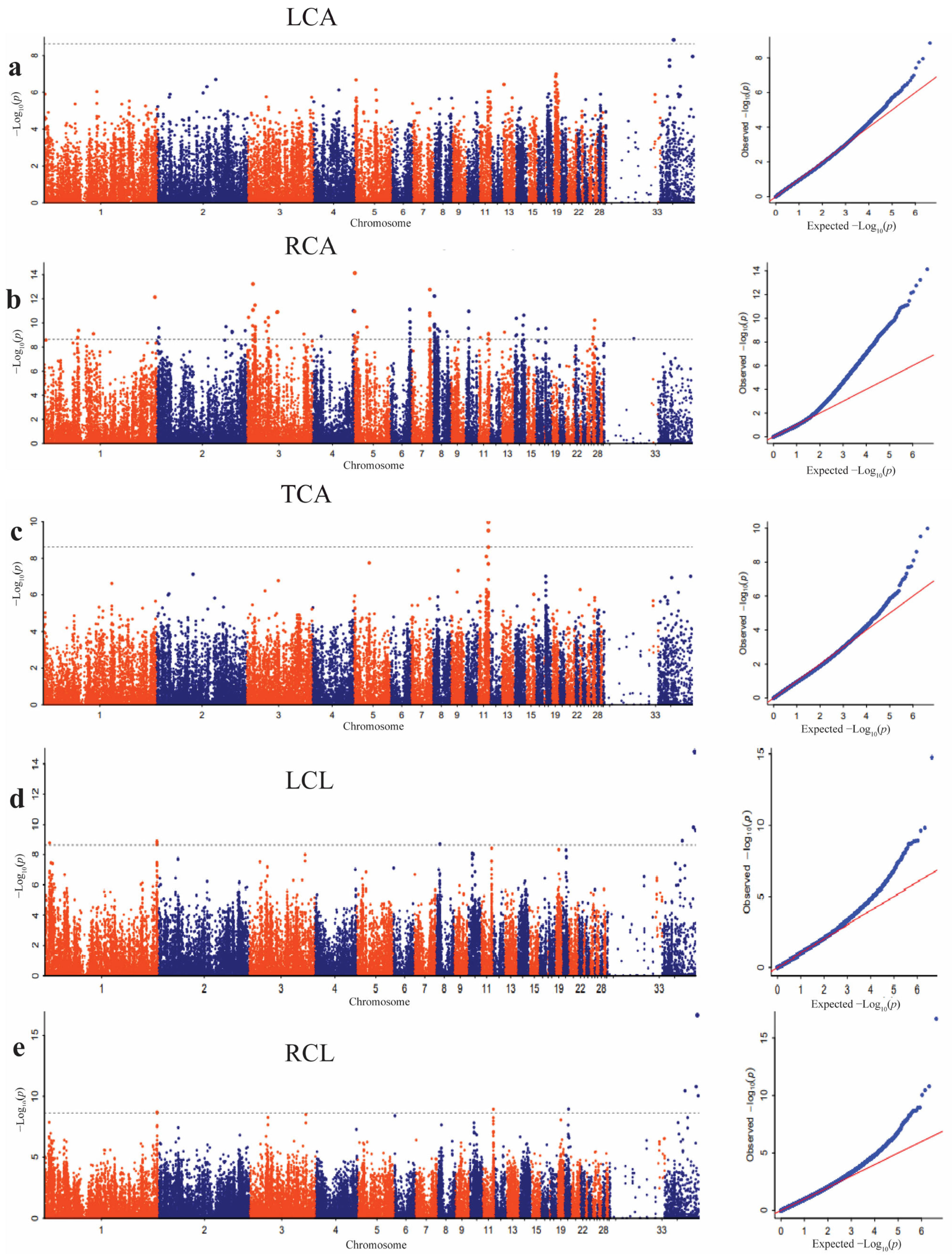 Animals 14 00085 g003 Animals 14 00085 g003
