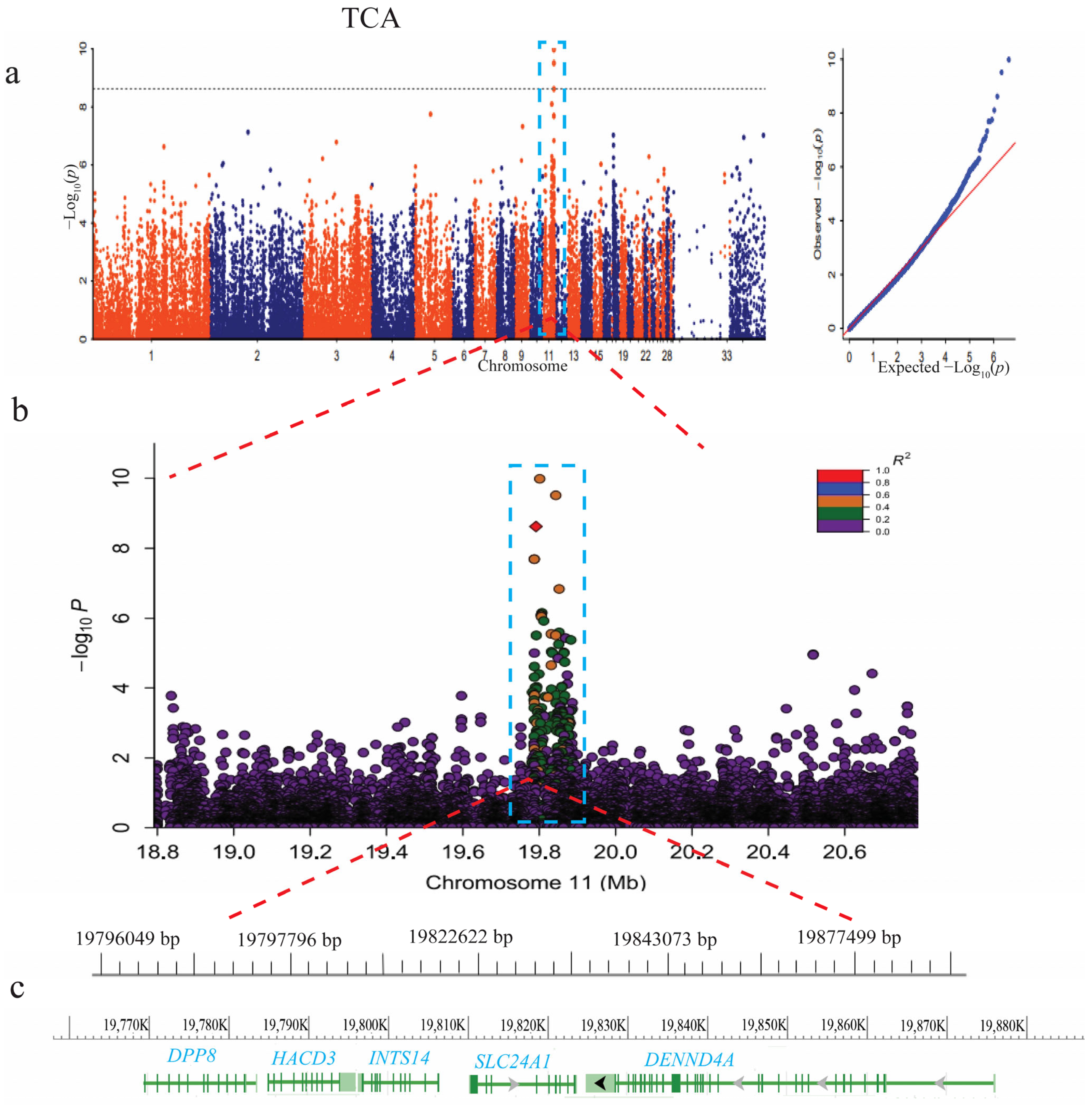 Animals 14 00085 g004 Animals 14 00085 g004