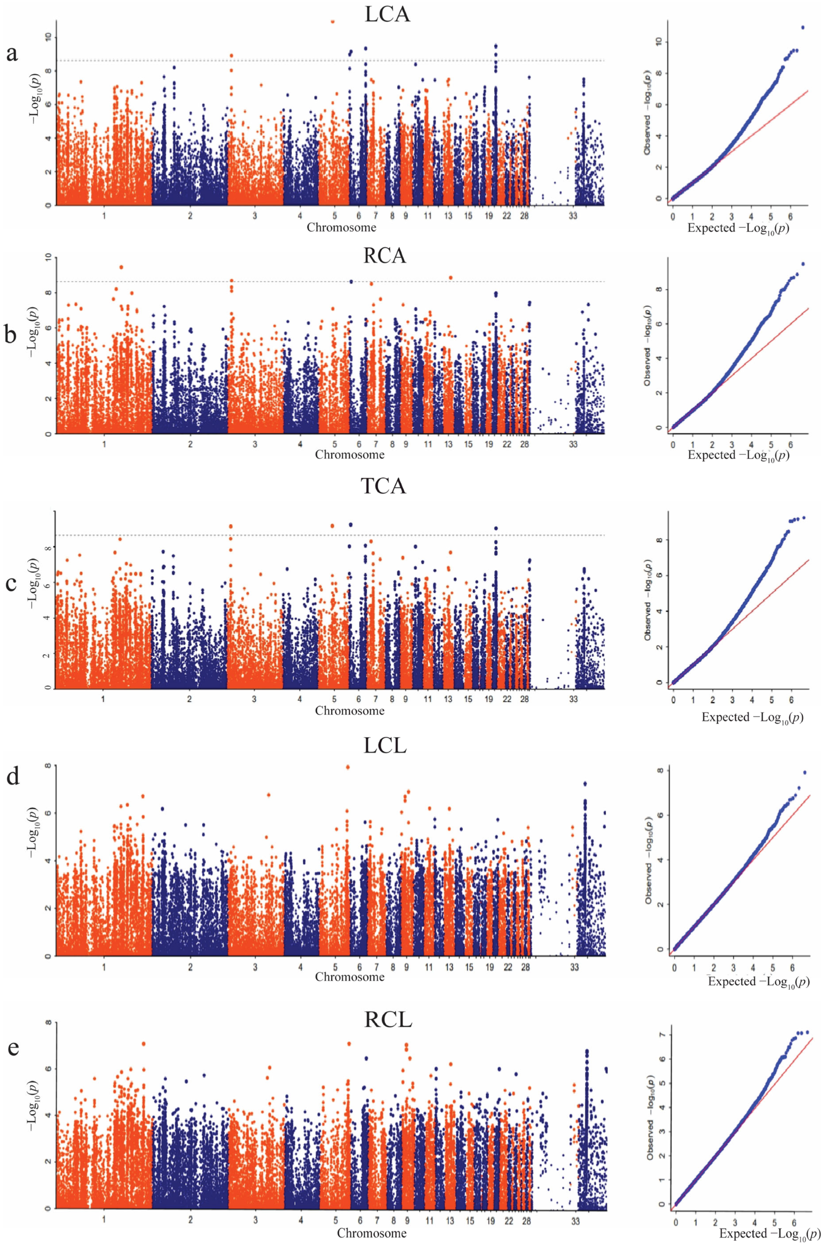 Animals 14 00085 g005 Animals 14 00085 g005