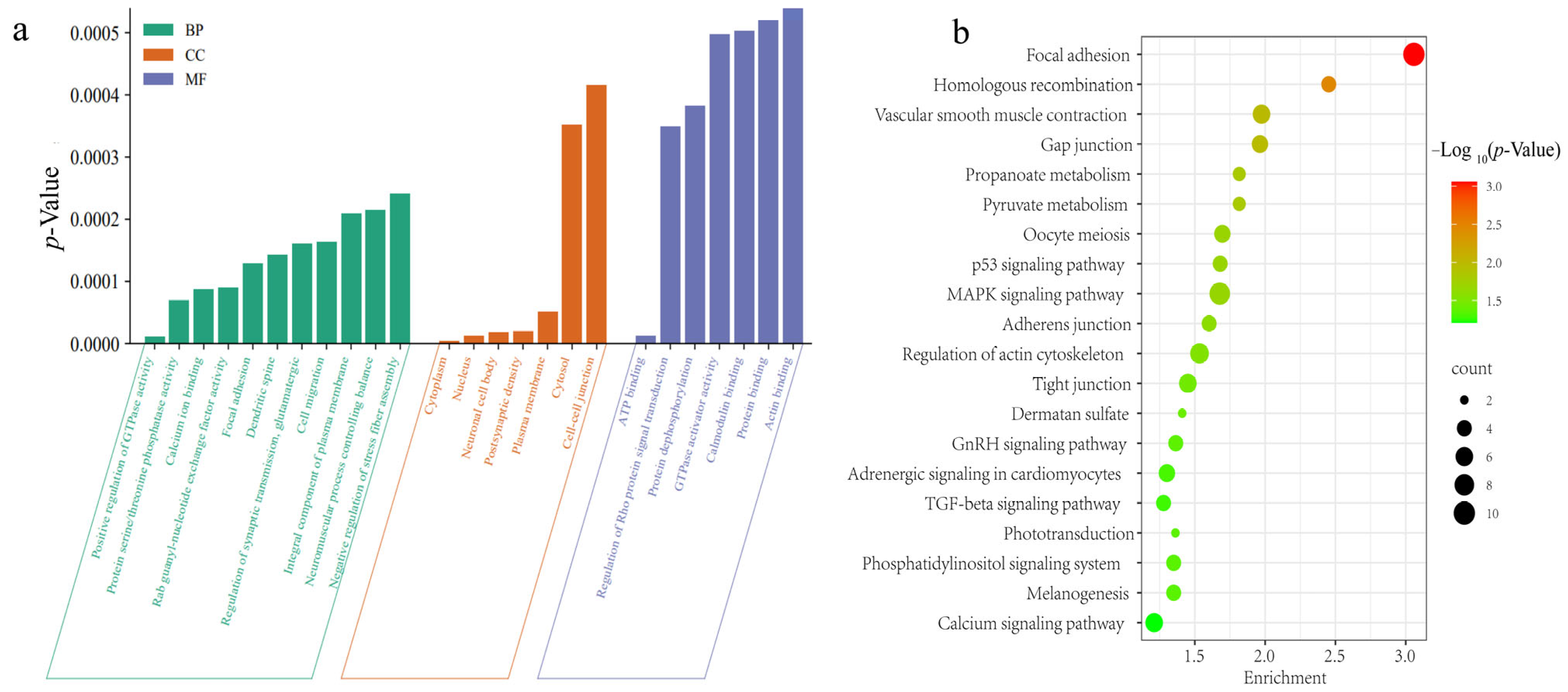 Animals 14 00085 g006 Animals 14 00085 g006