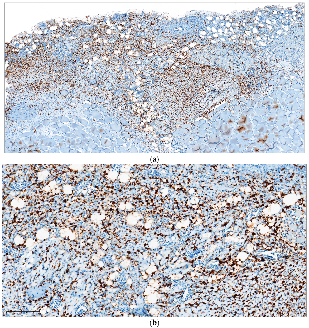 Animals 14 00097 g002