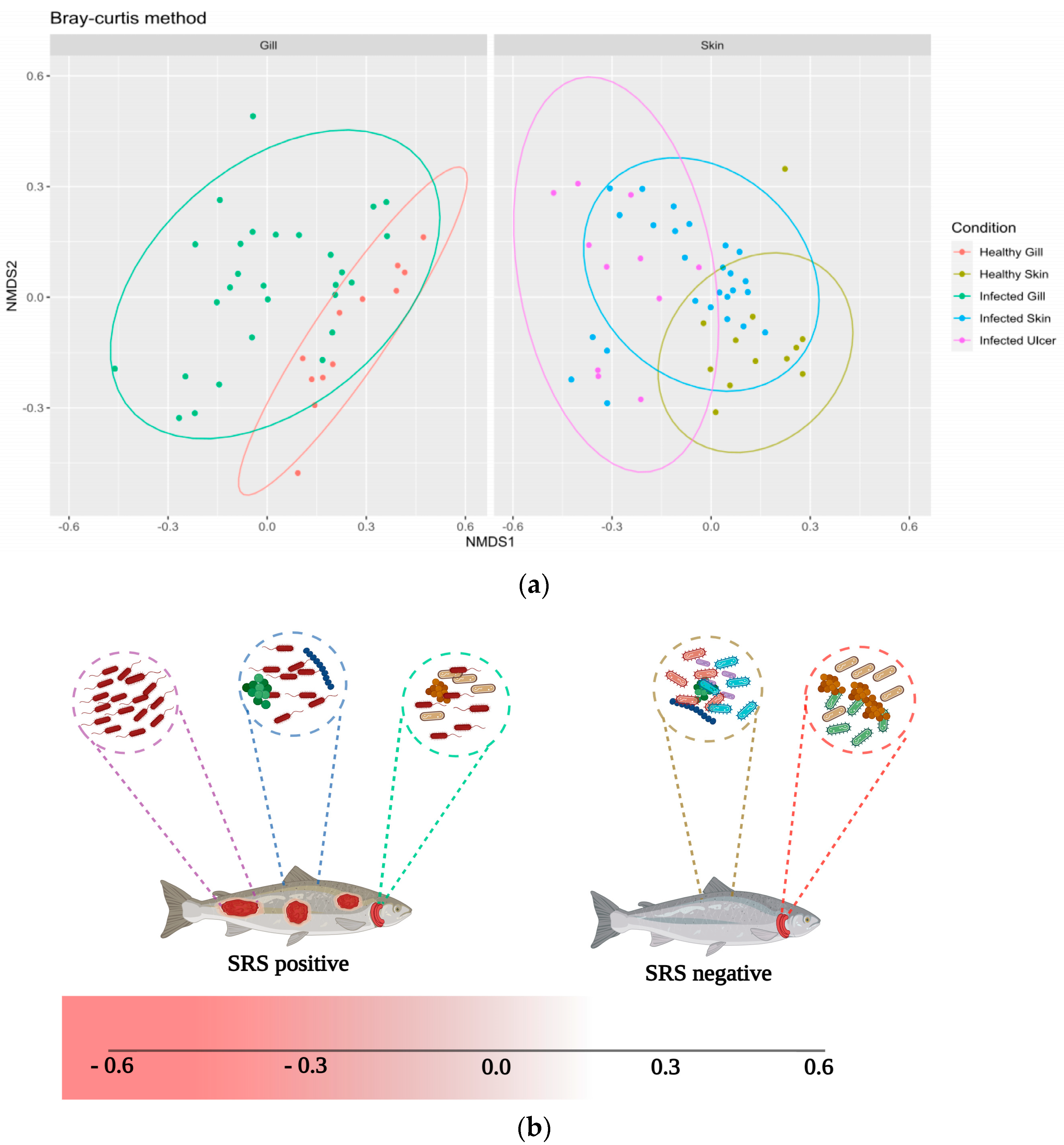 Animals 14 00097 g004