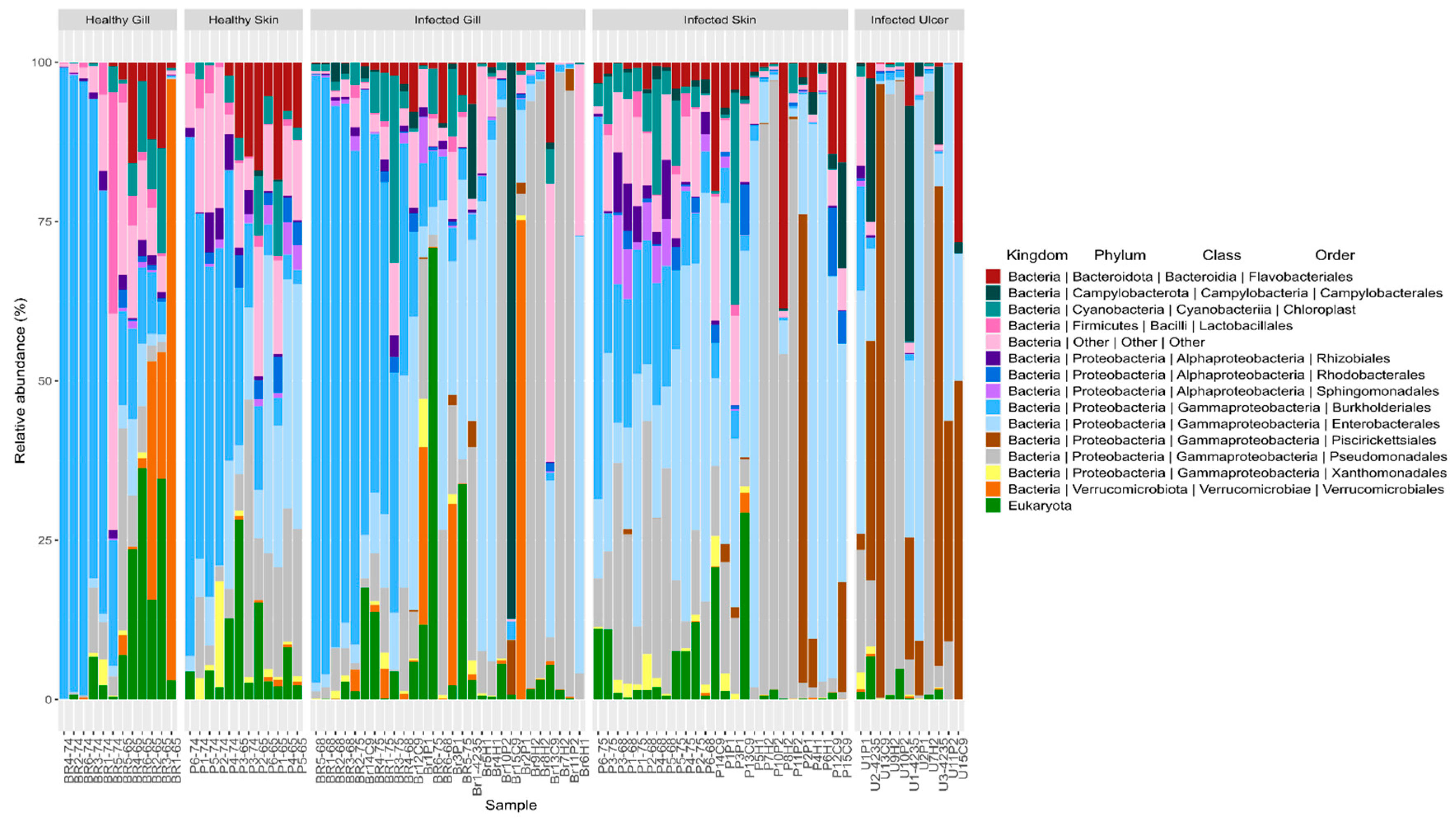 Animals 14 00097 g006