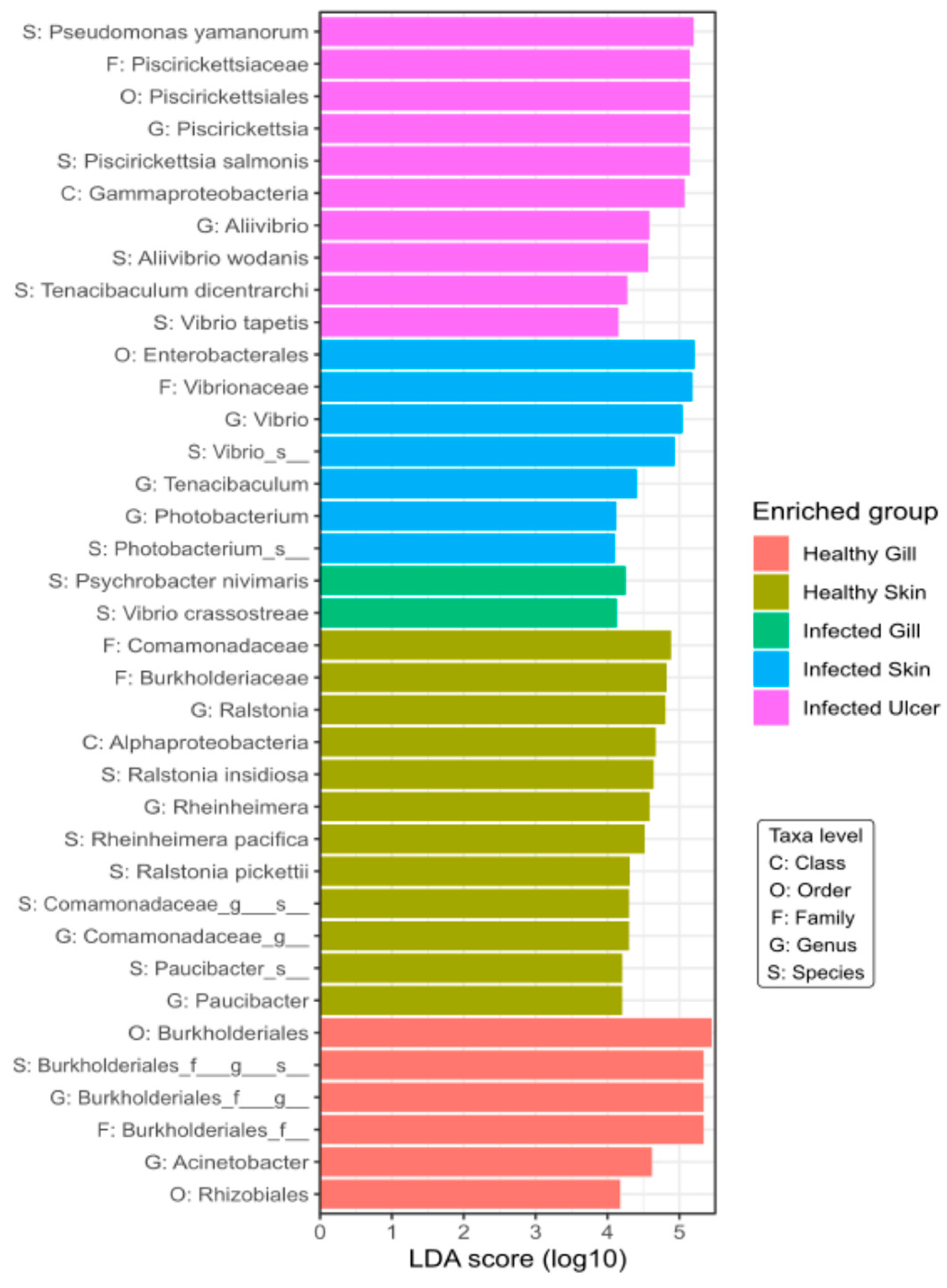 Animals 14 00097 g008