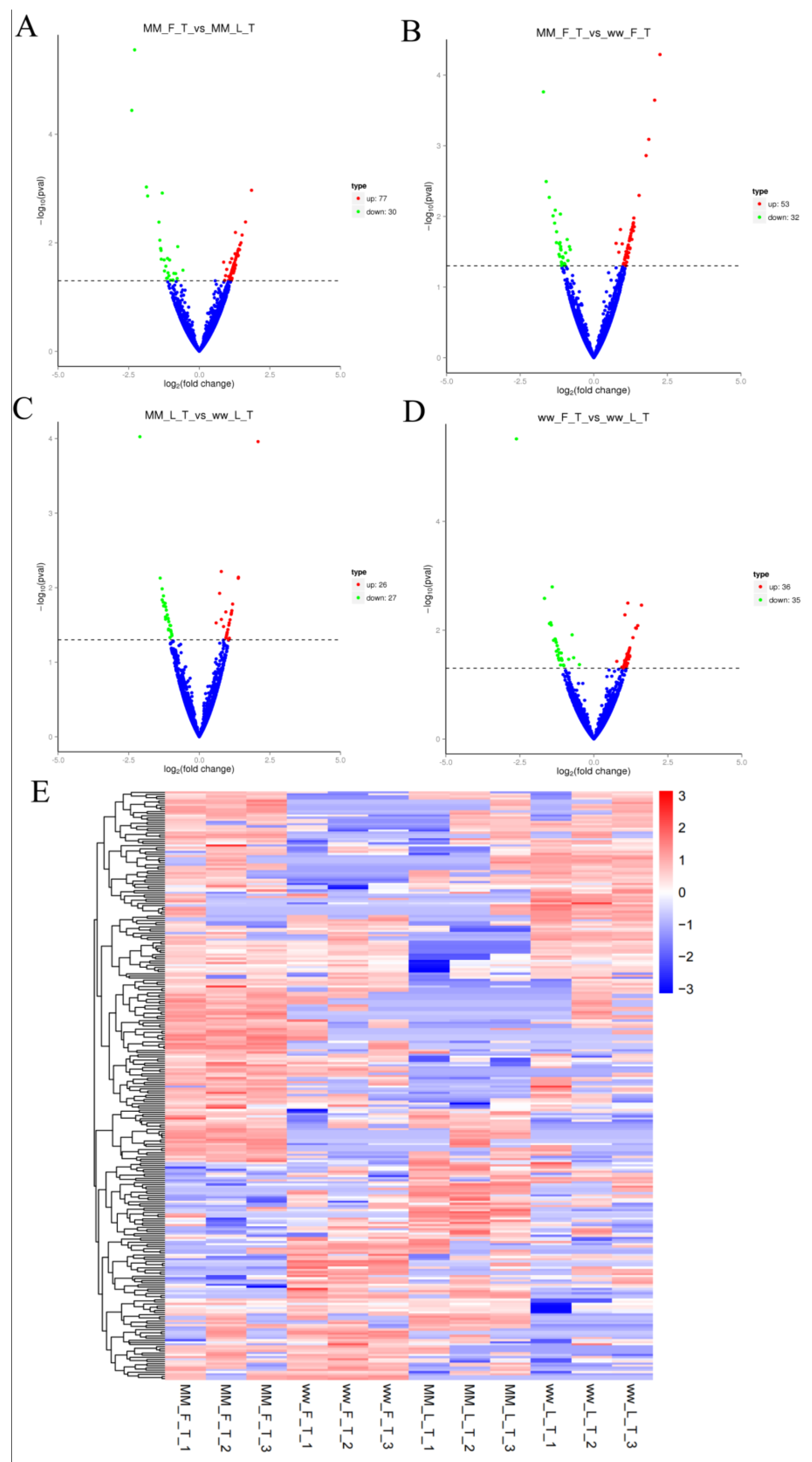 Animals 14 00105 g002