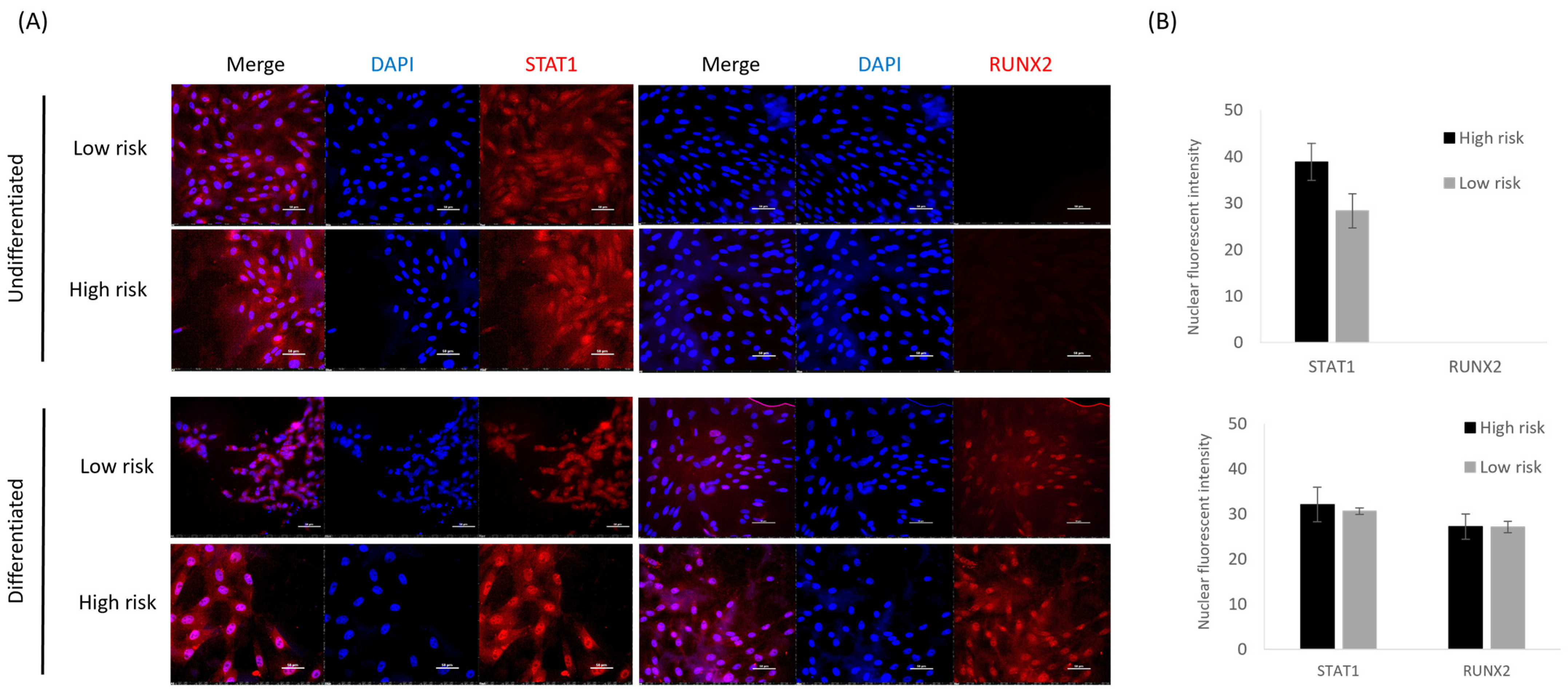 Animals 14 00116 g005 Animals 14 00116 g005