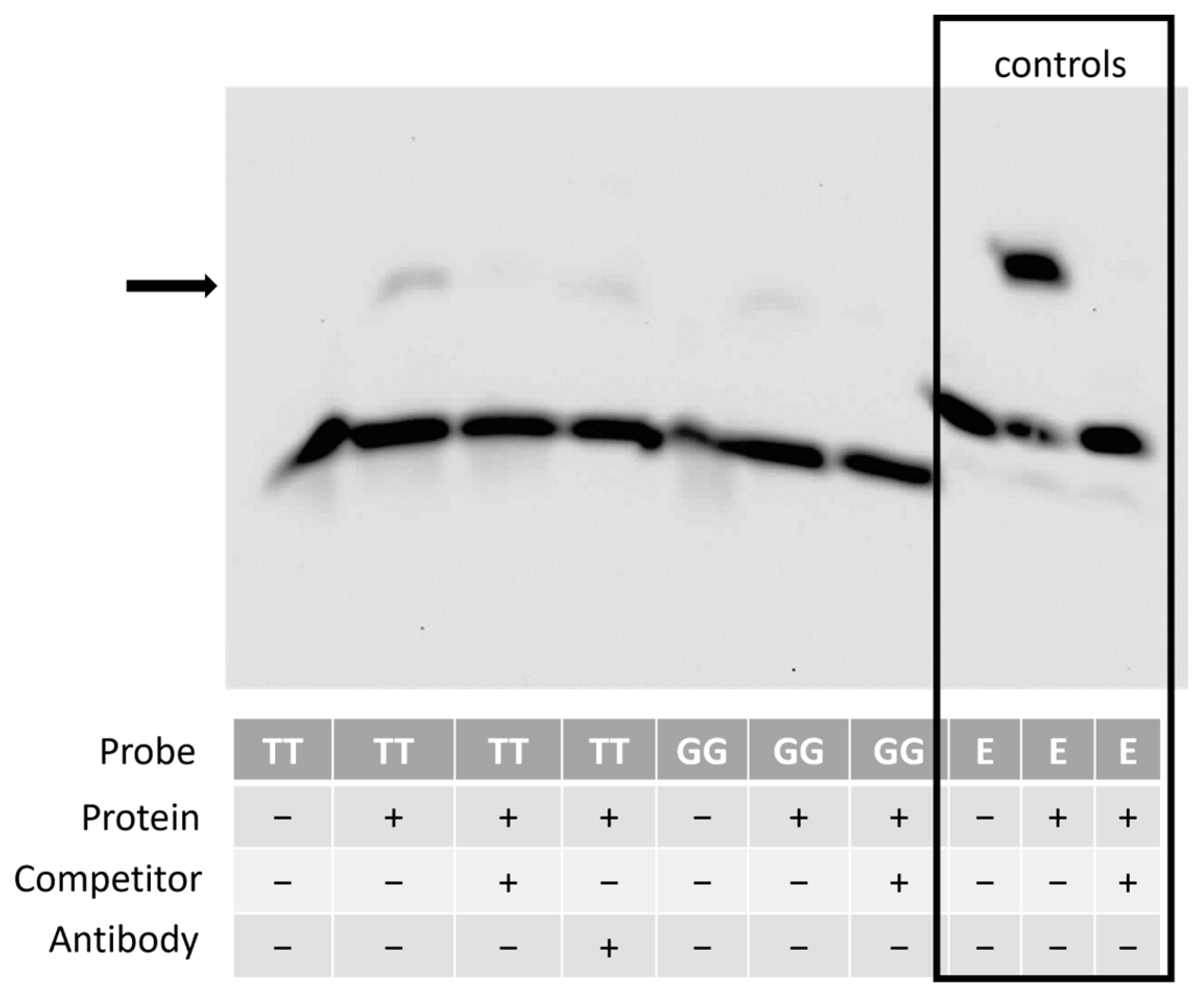 Animals 14 00116 g009 Animals 14 00116 g009