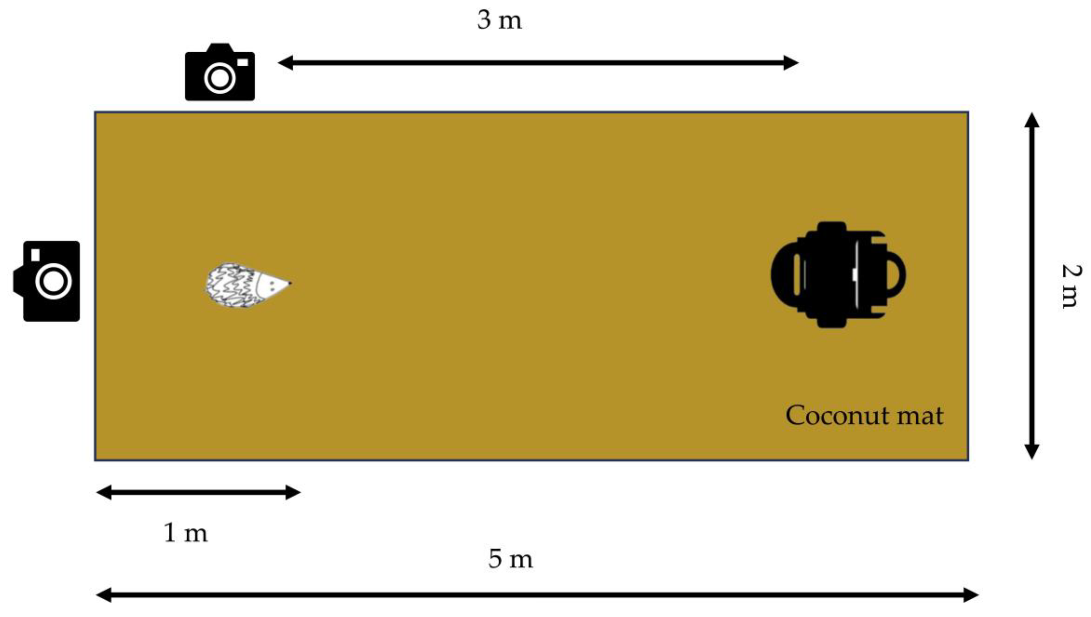 Animals 14 00122 g002