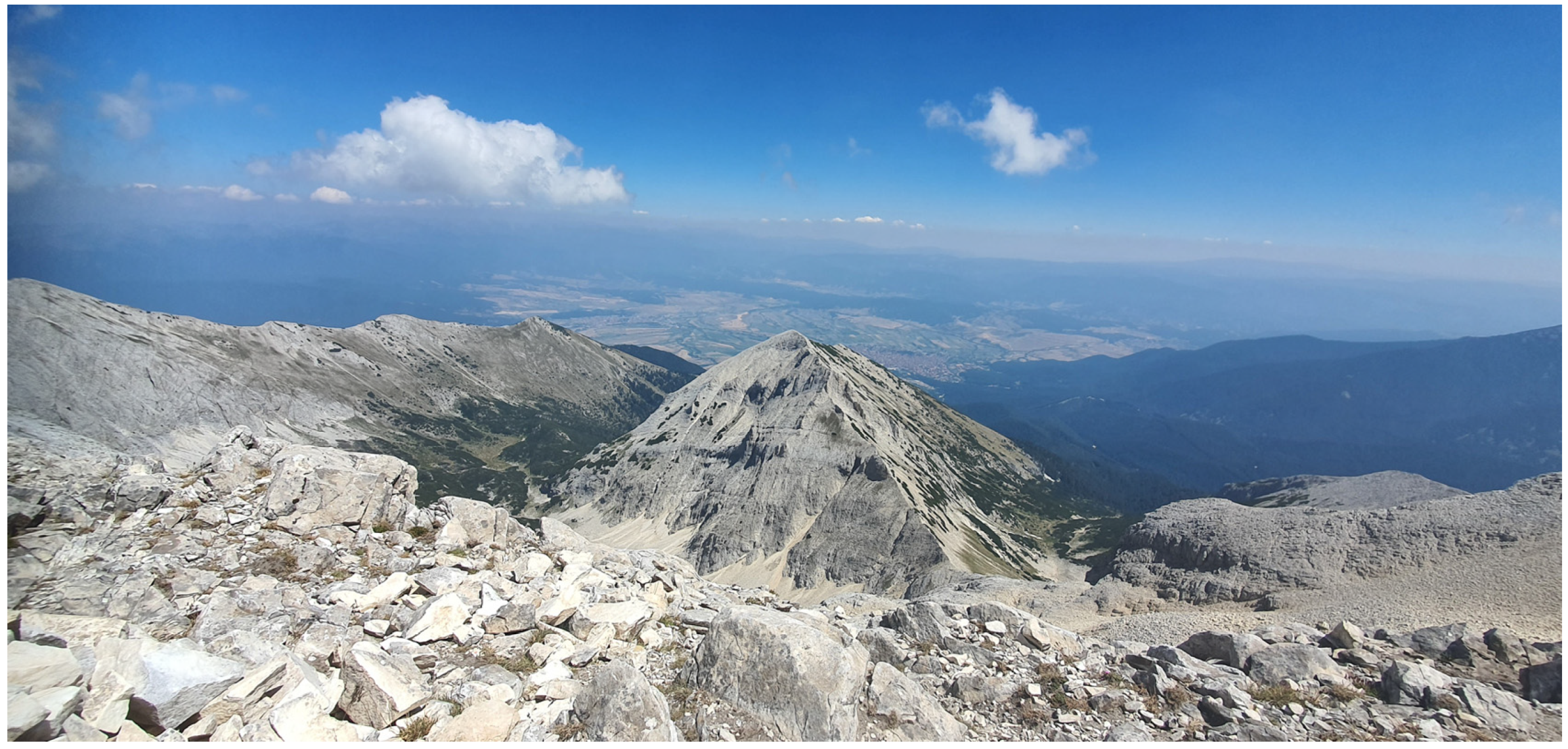 Animals 14 00126 g001 Animals 14 00126 g001