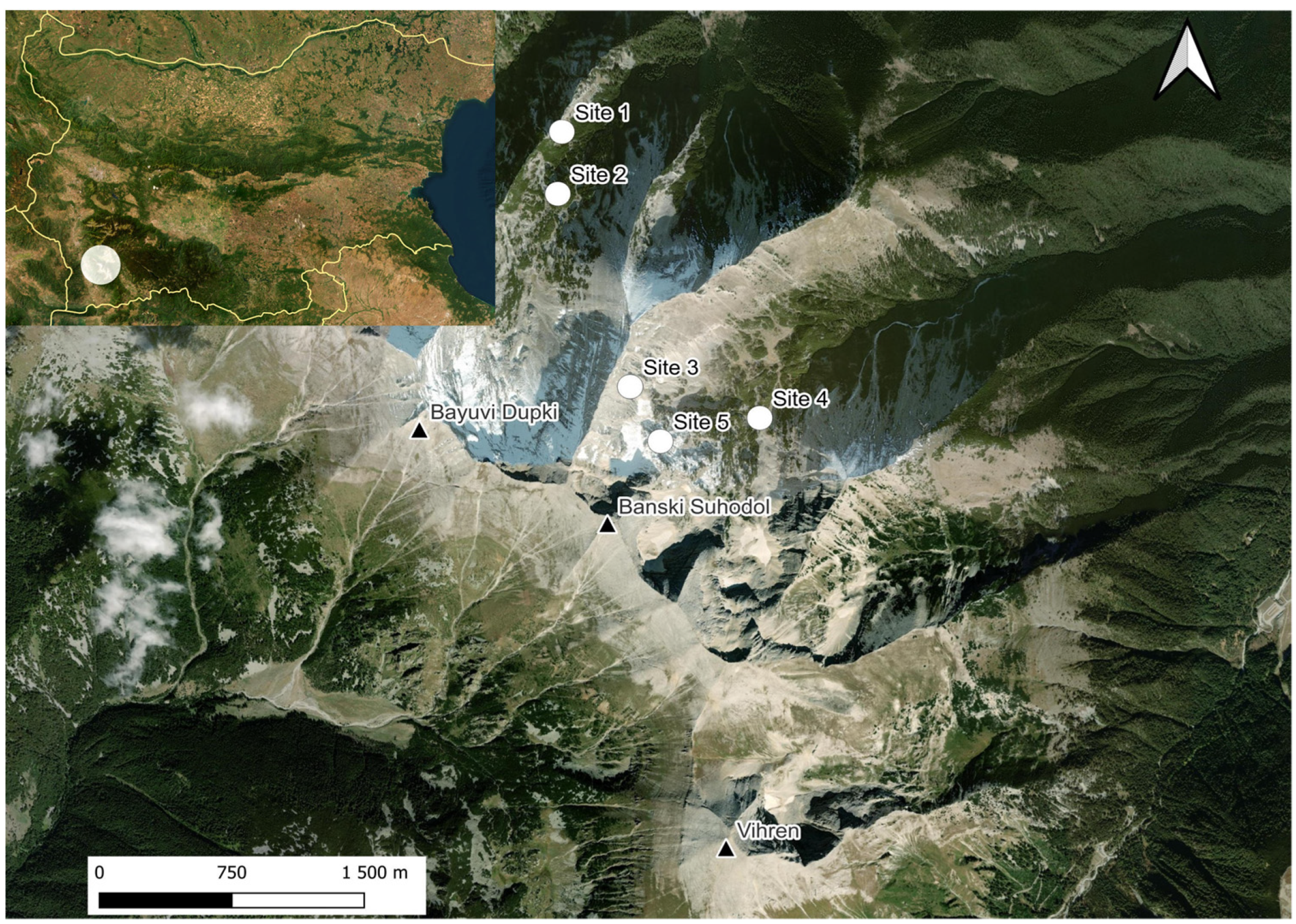 Animals 14 00126 g002 Animals 14 00126 g002