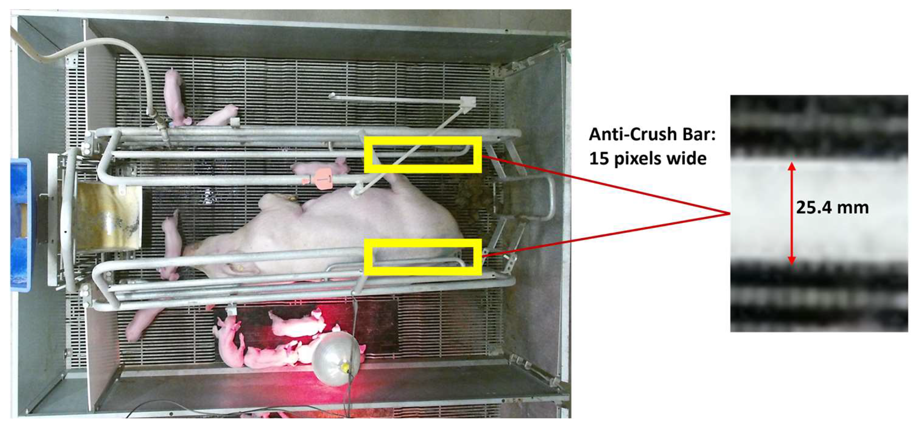 Animals 14 00131 g005