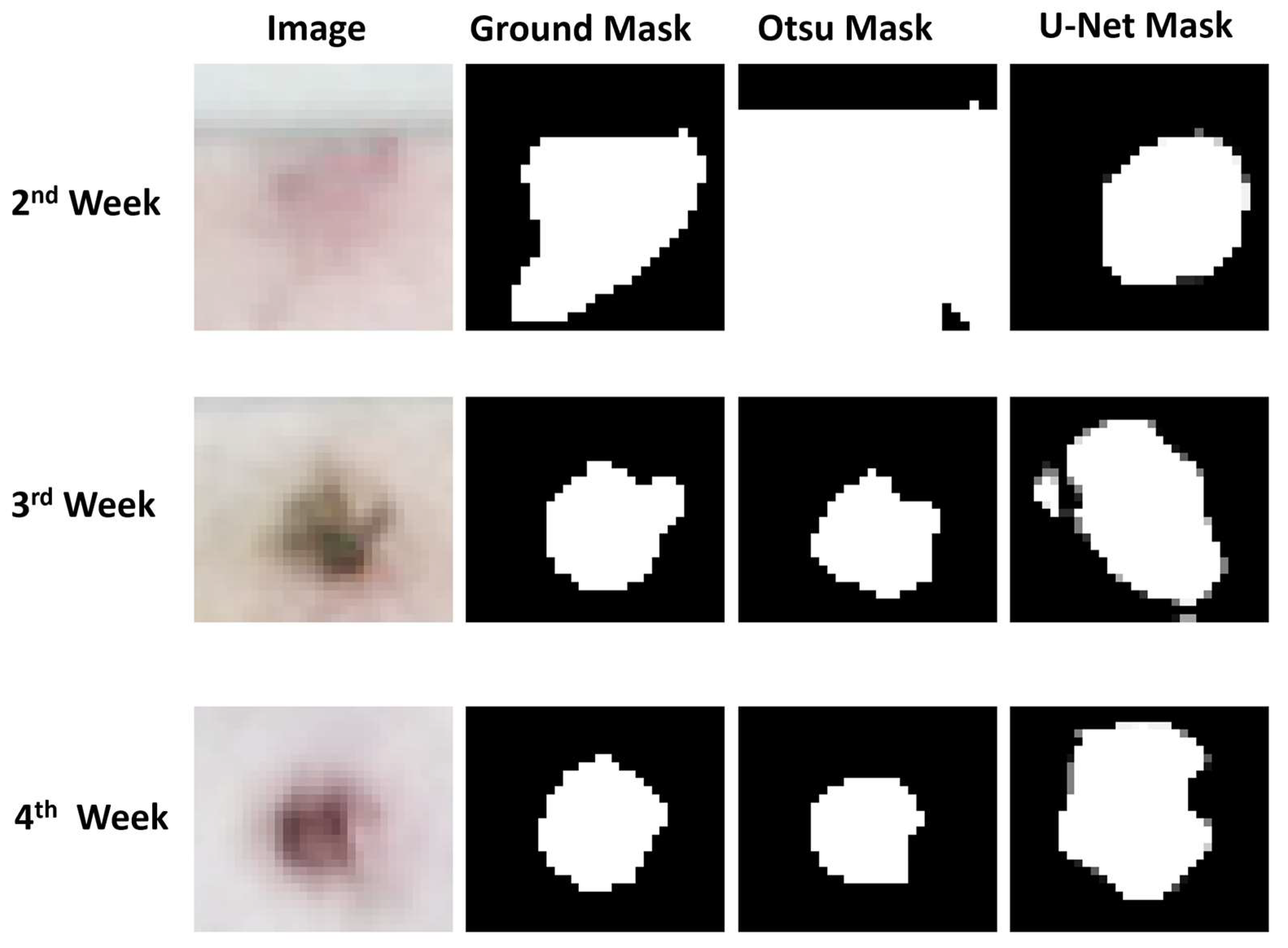 Animals 14 00131 g007