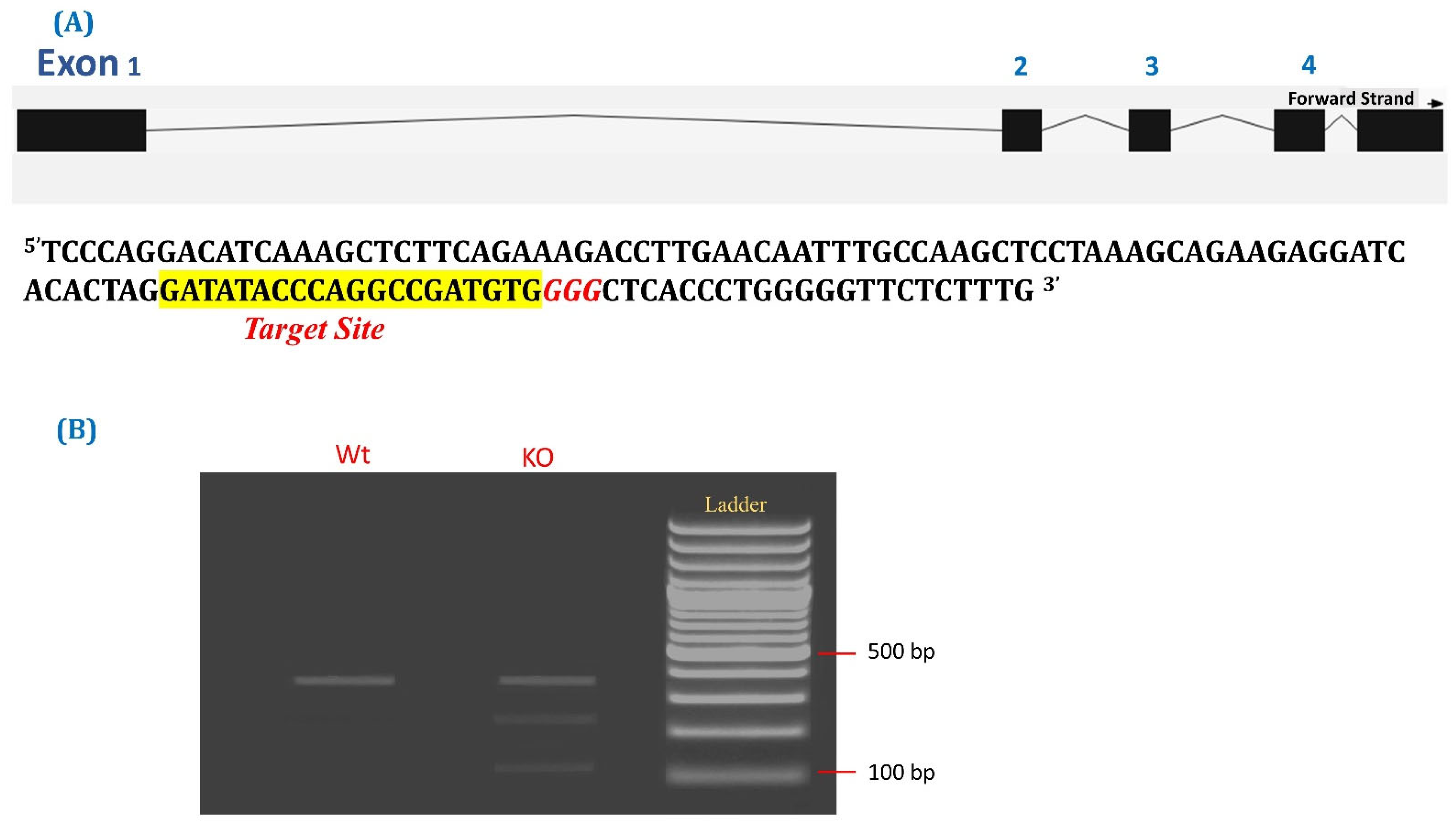 Animals 14 00134 g001