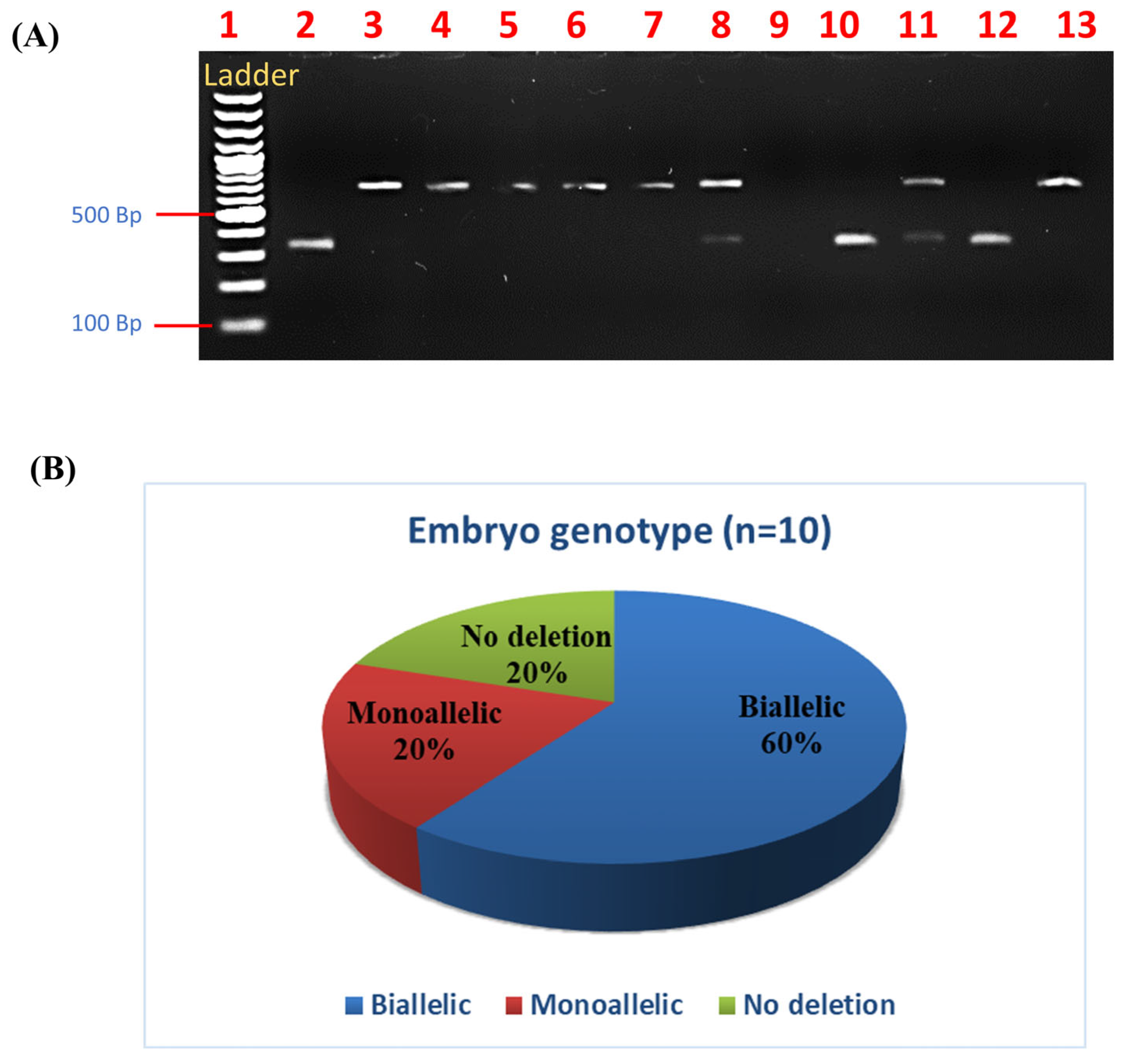 Animals 14 00134 g004