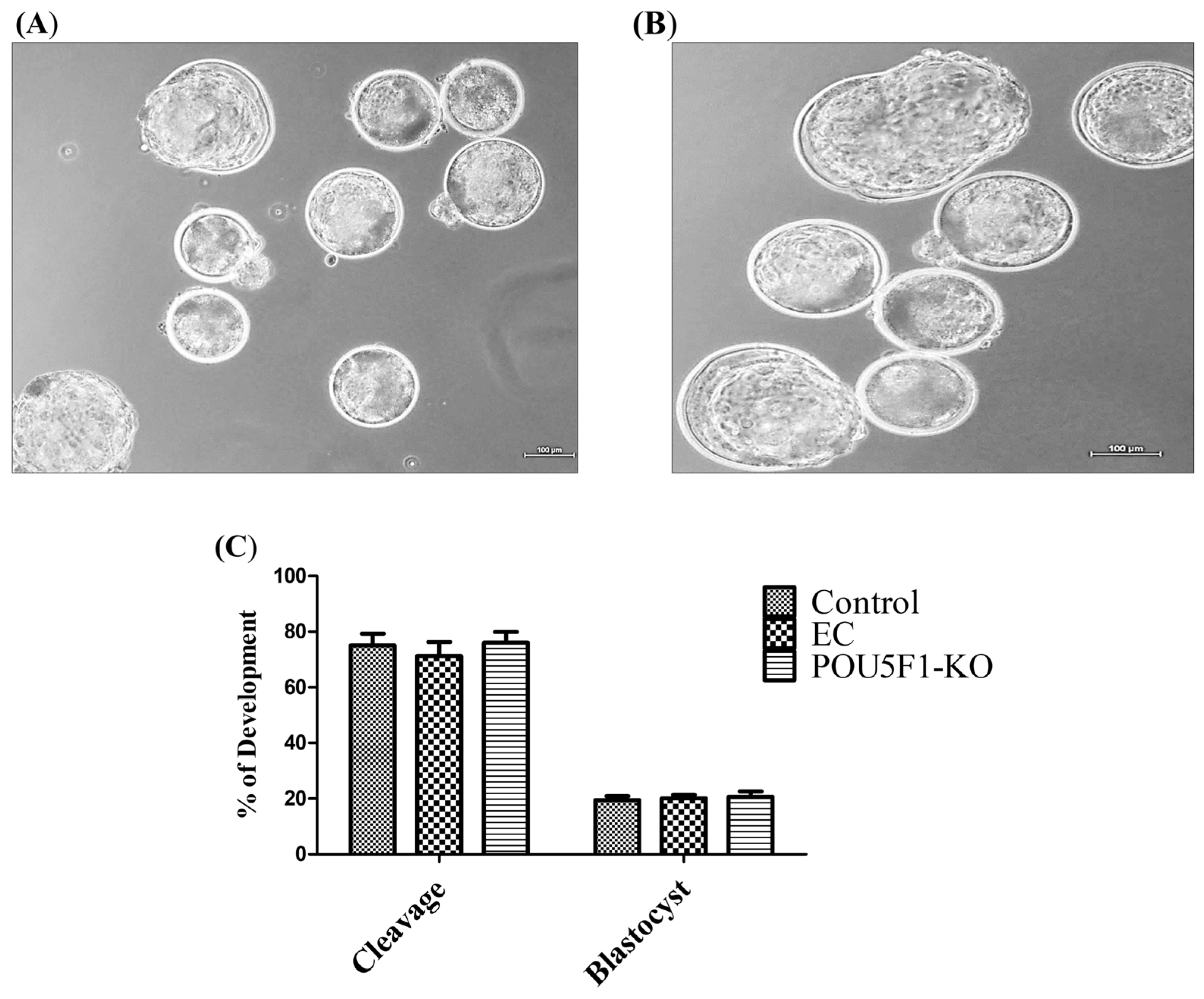 Animals 14 00134 g005