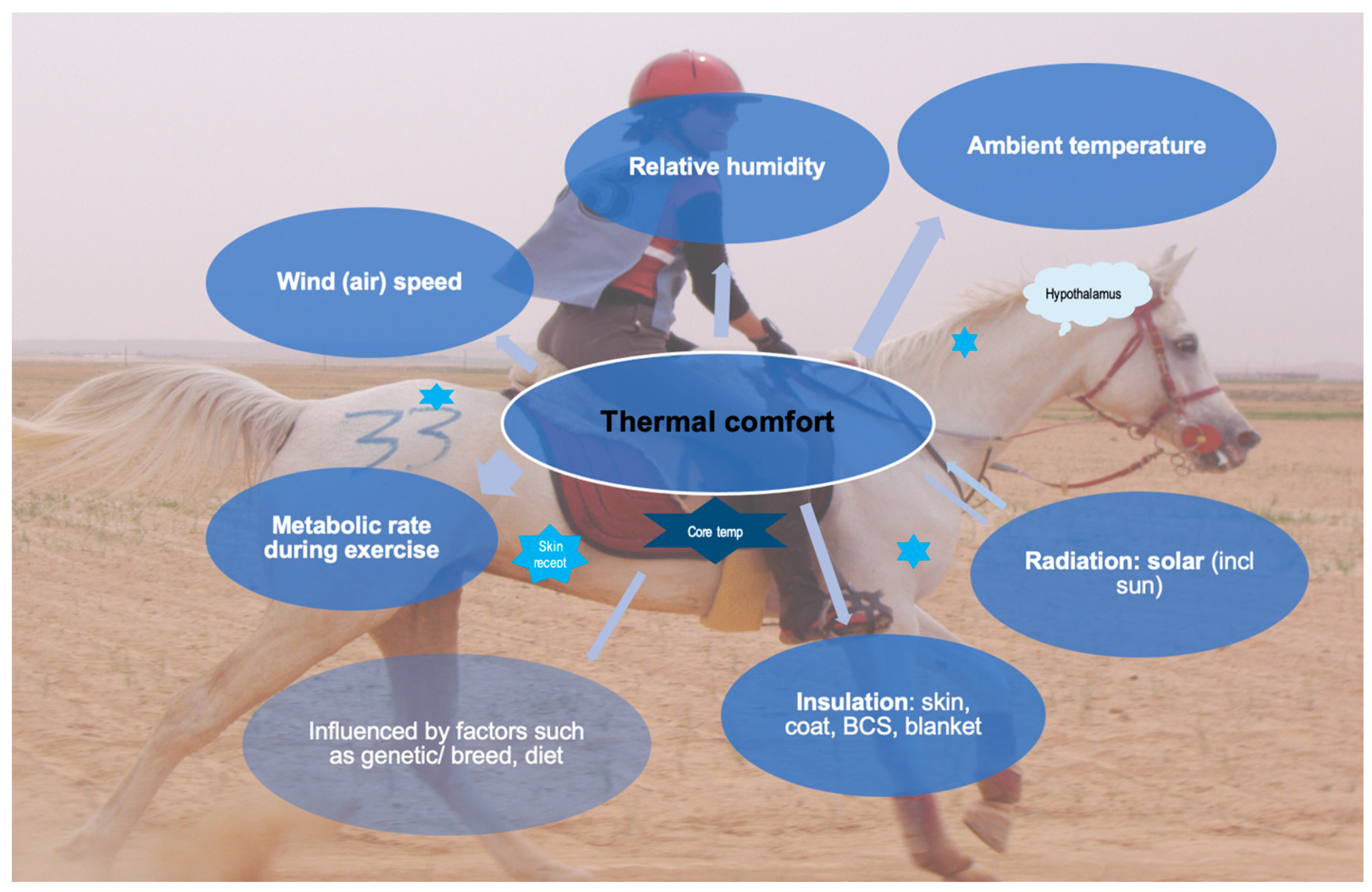 Animals 14 00136 g001