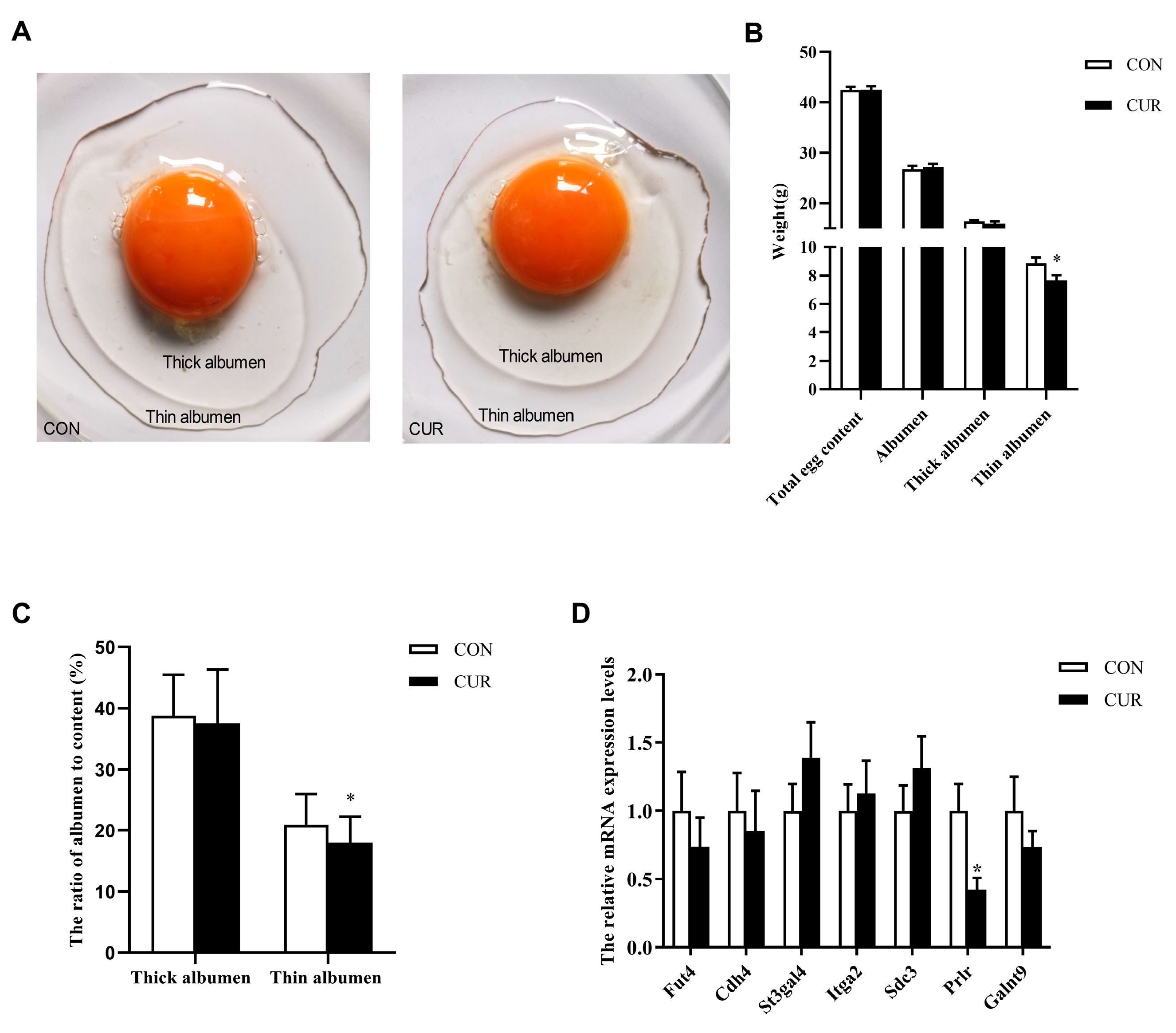 Animals 14 00138 g001