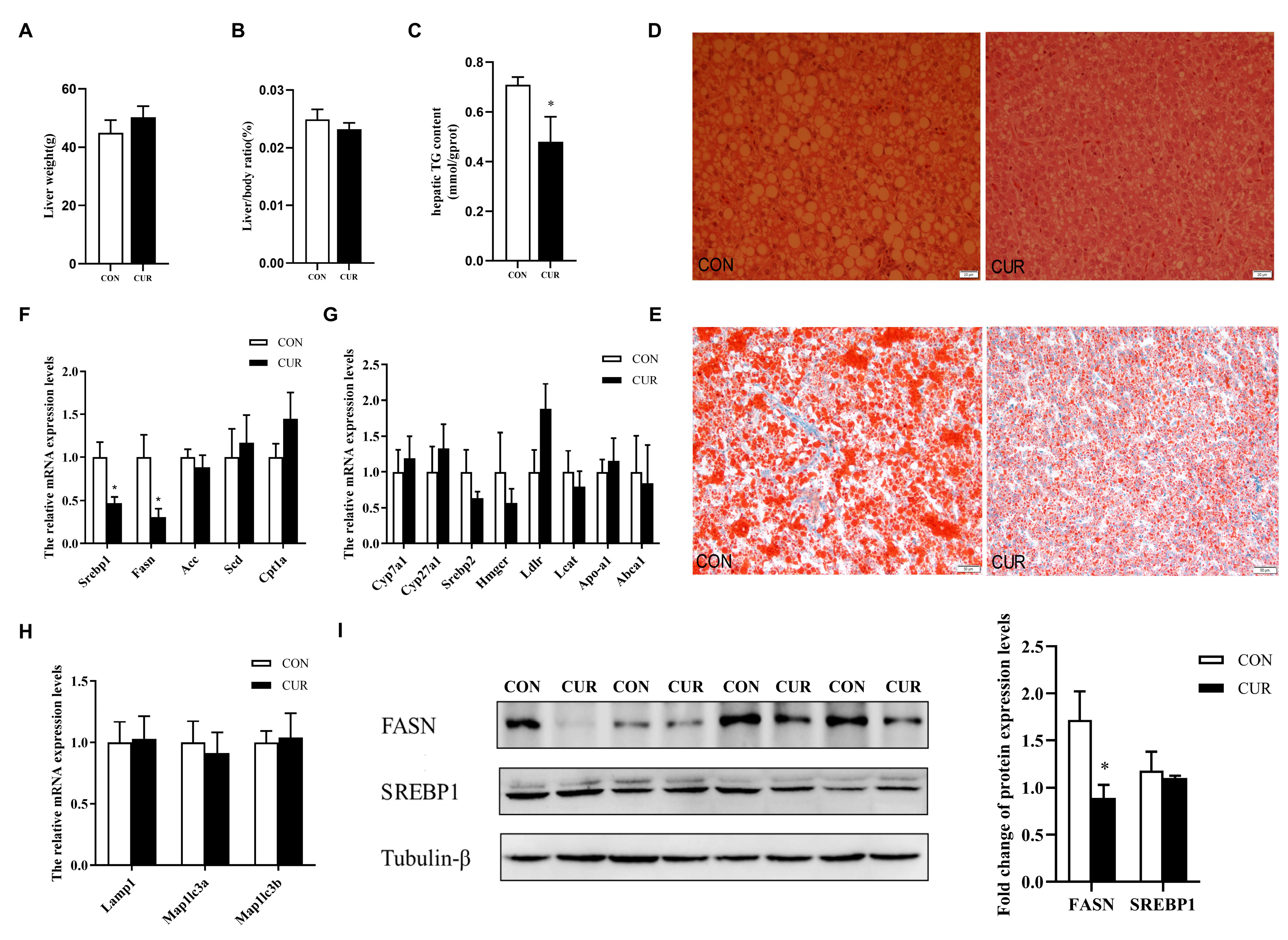 Animals 14 00138 g002