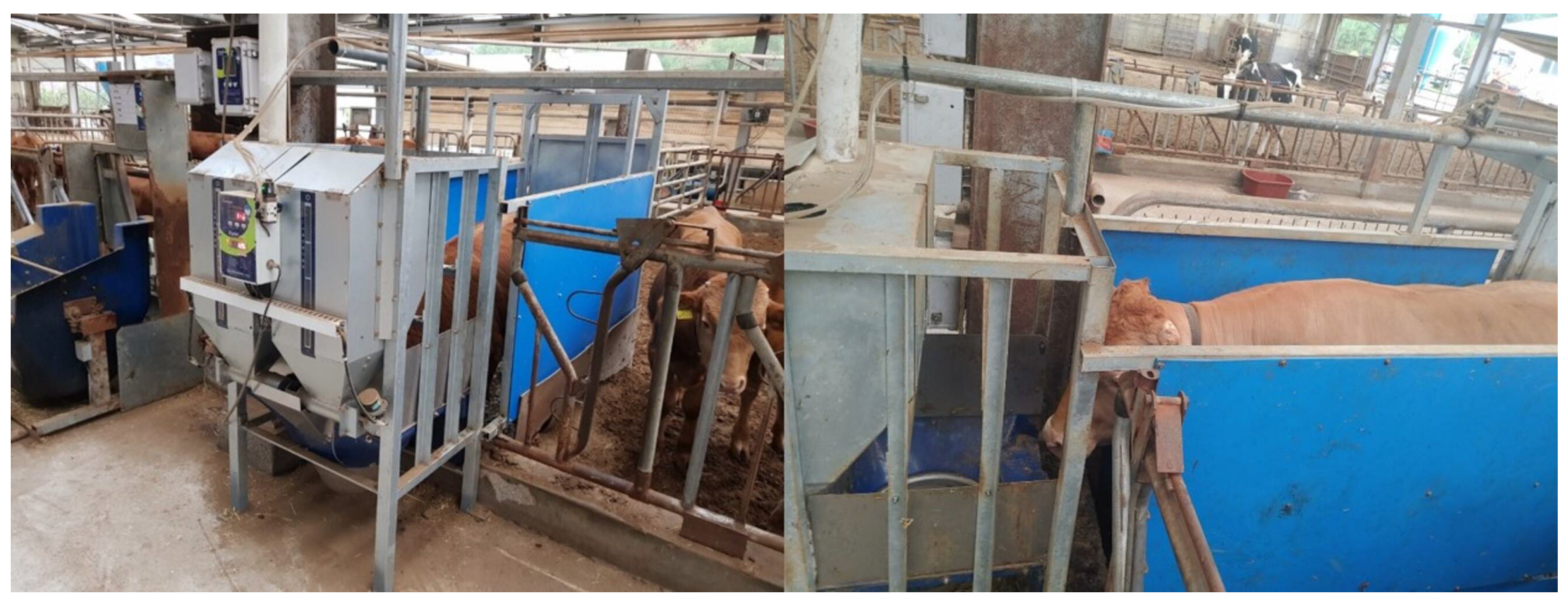 Animals 14 00141 g001