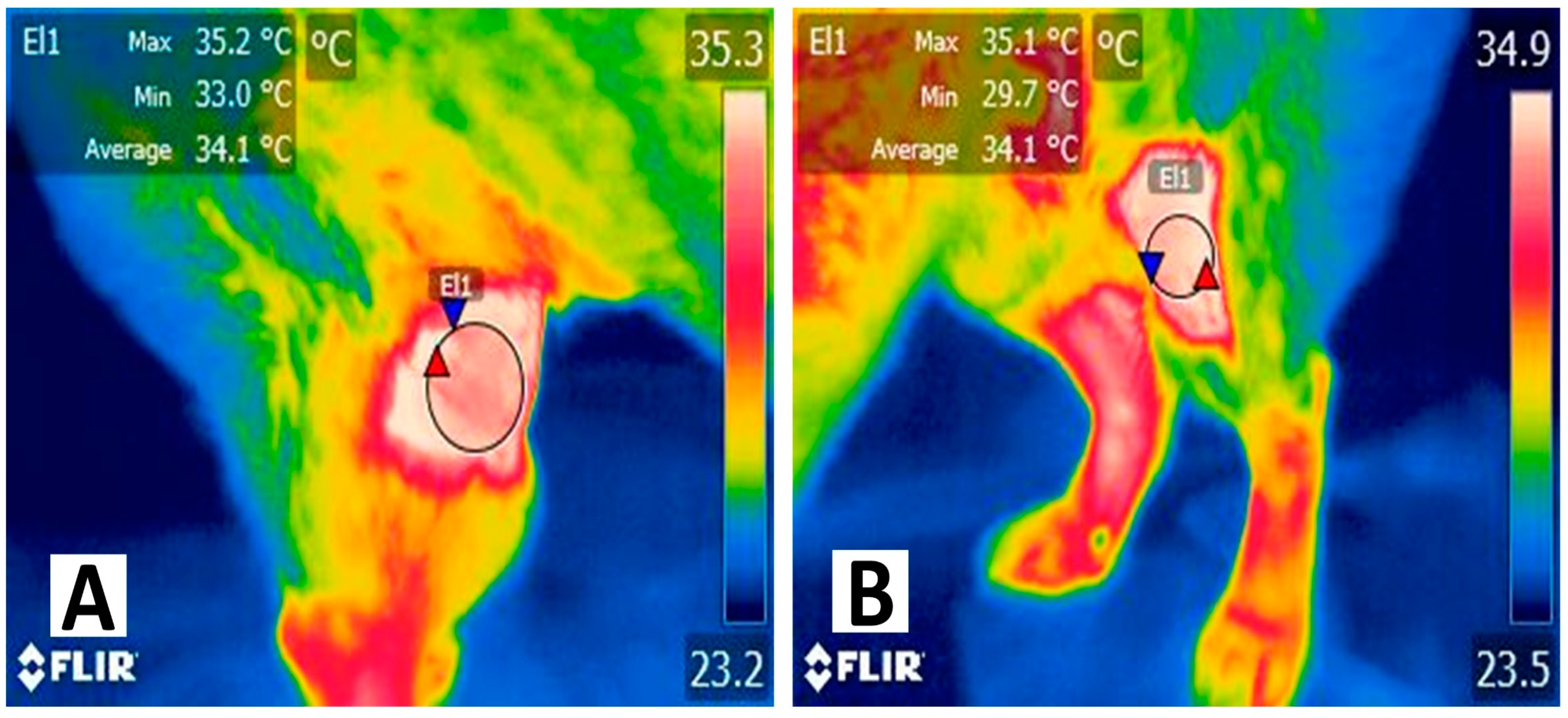 Animals 14 00142 g002