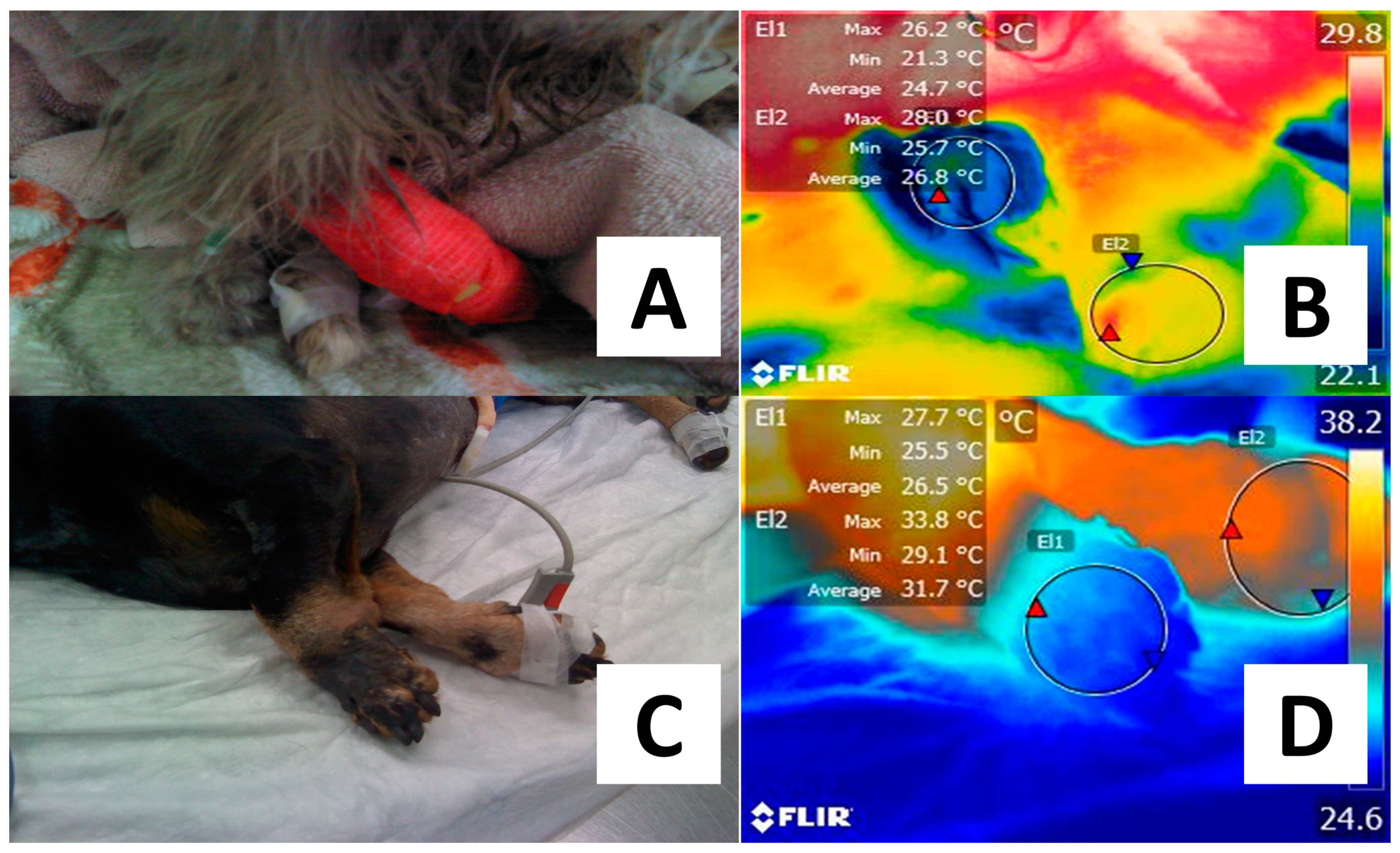 Animals 14 00142 g004