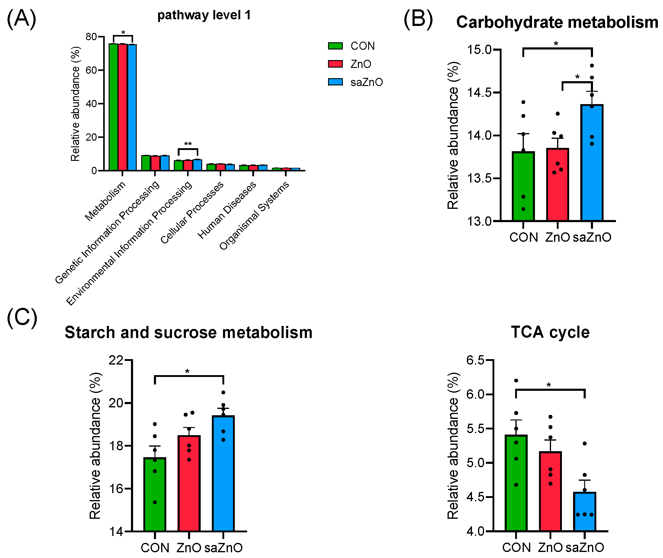 Animals 14 00146 g003