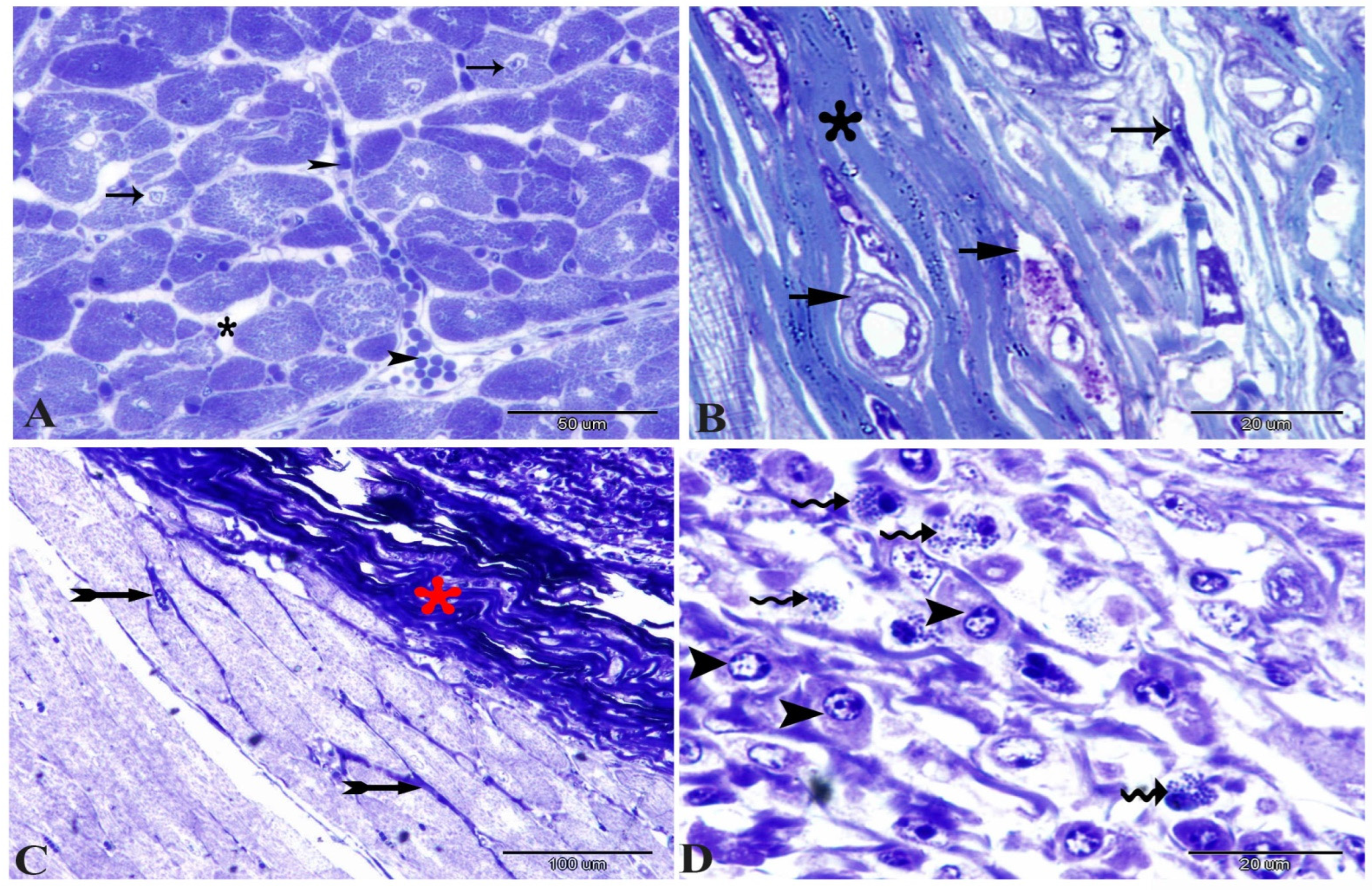 Animals 14 00158 g004 Animals 14 00158 g004