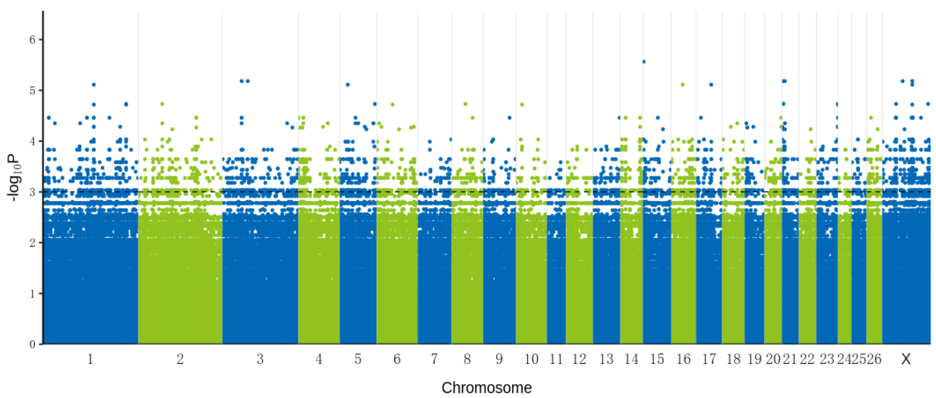 Animals 14 00161 g001