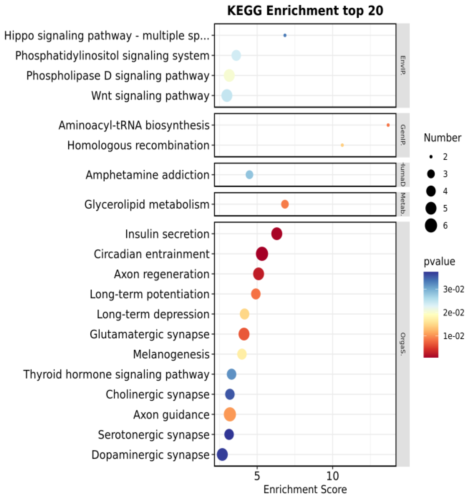 Animals 14 00161 g003