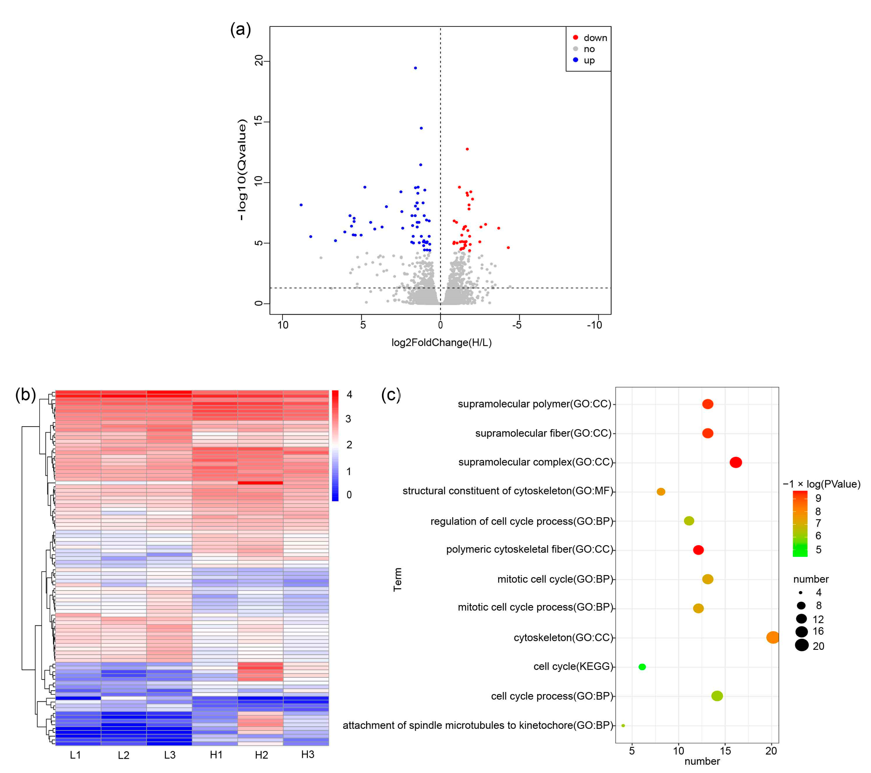 Transcriptome and Weighted Gene Co-Expression Network