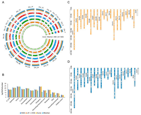 The Genetic Selection of HSPD1 and HSPE1 Reduce Inflammation The Genetic Selection of HSPD1 and HSPE1 Reduce Inflammation