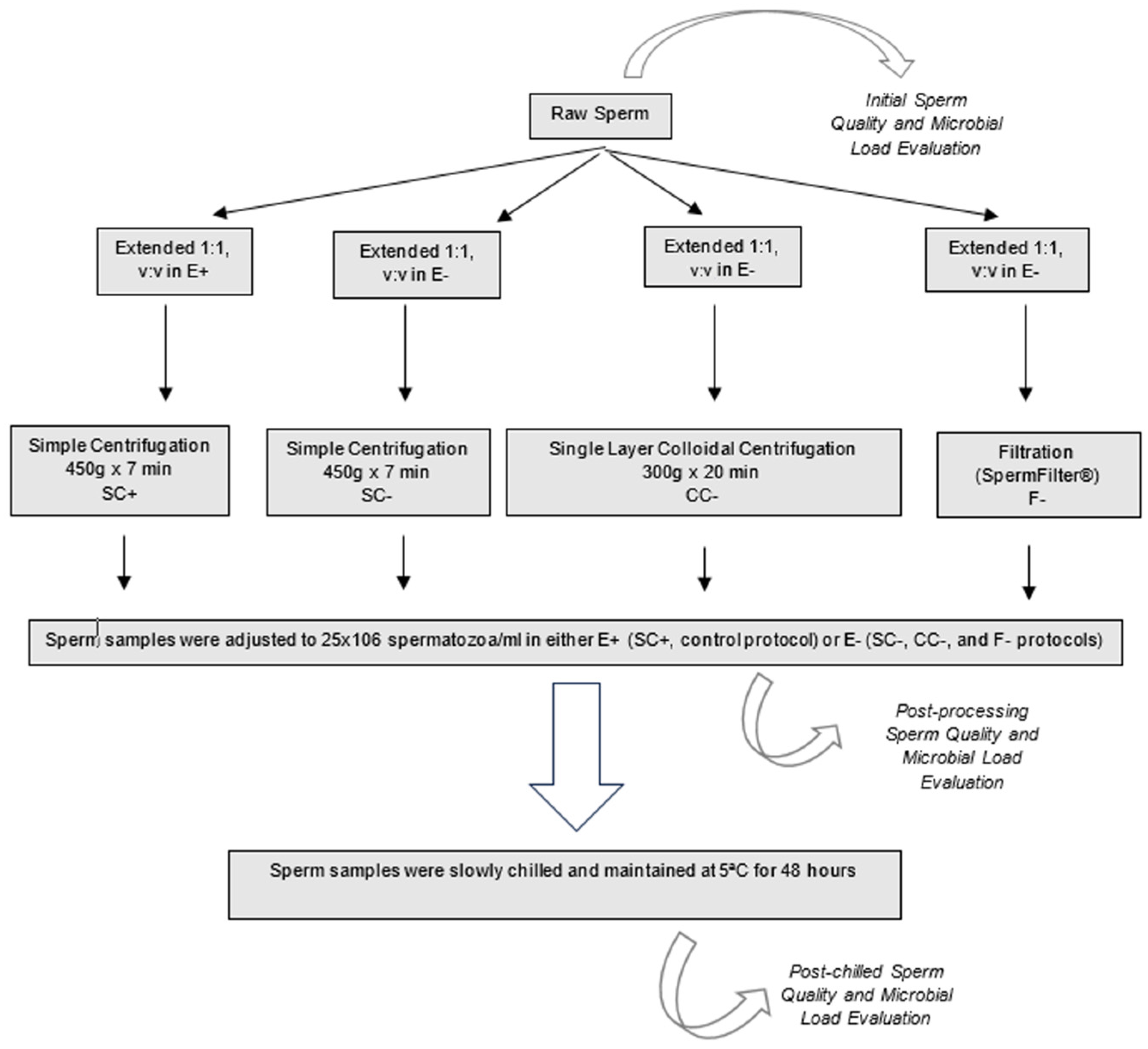 Animals 14 00179 g001