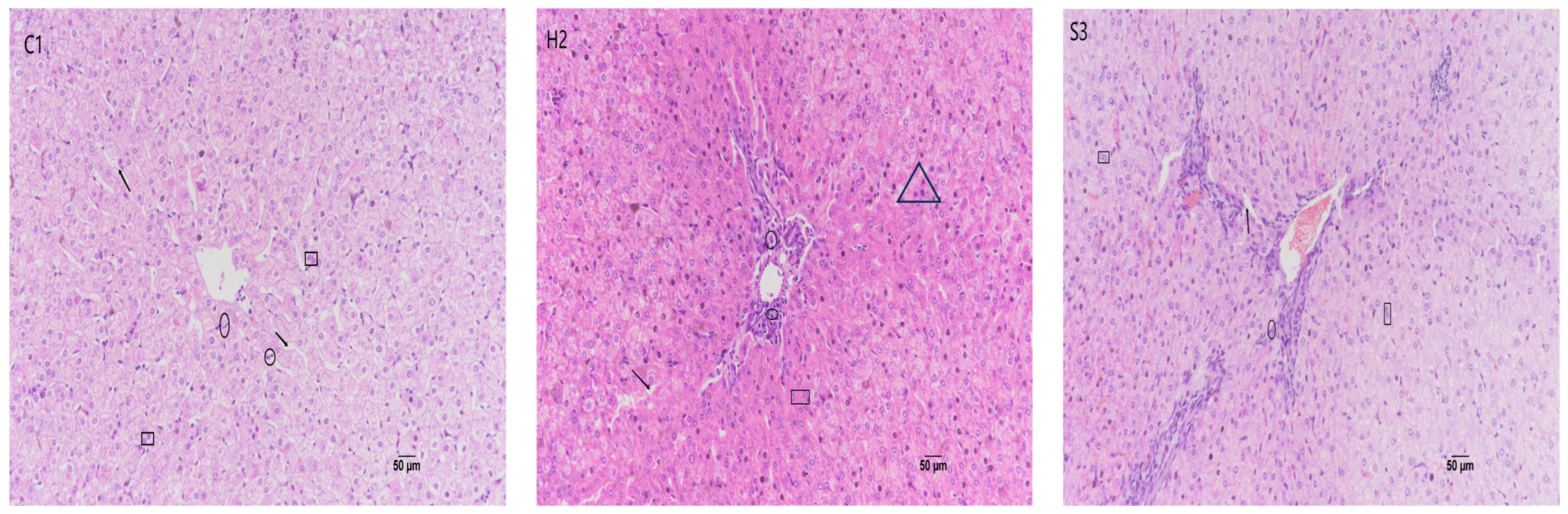 Animals 14 00182 g006