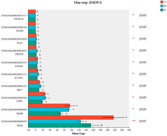 Effects of Sophora alopecuroides in a High-Concentrate Diet