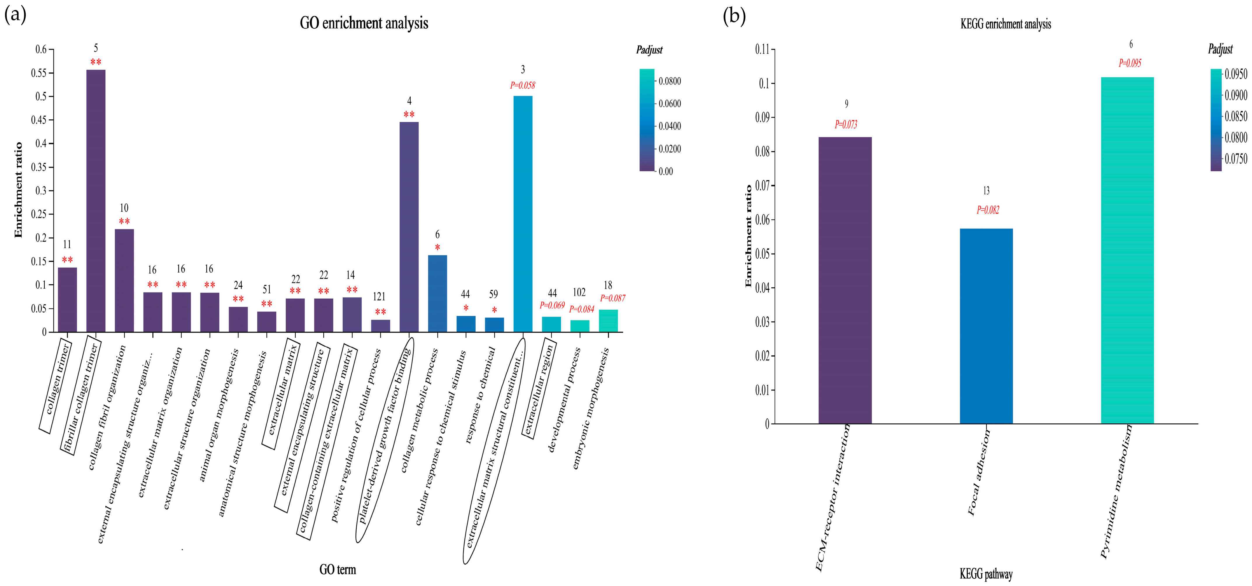 Animals 14 00182 g010