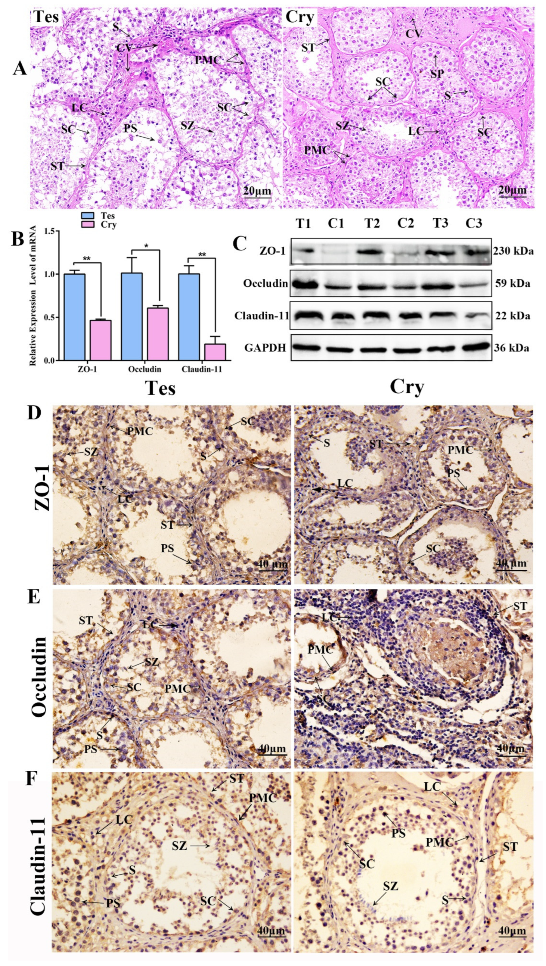 Animals 14 00183 g001