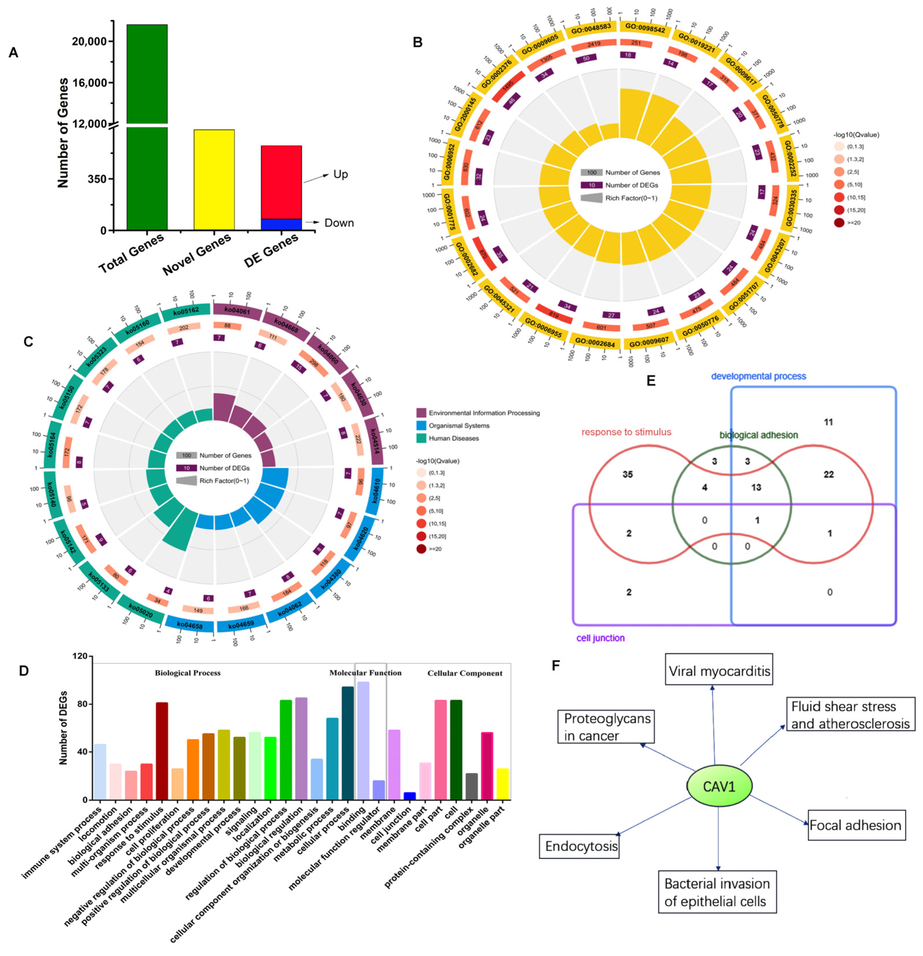Animals 14 00183 g002