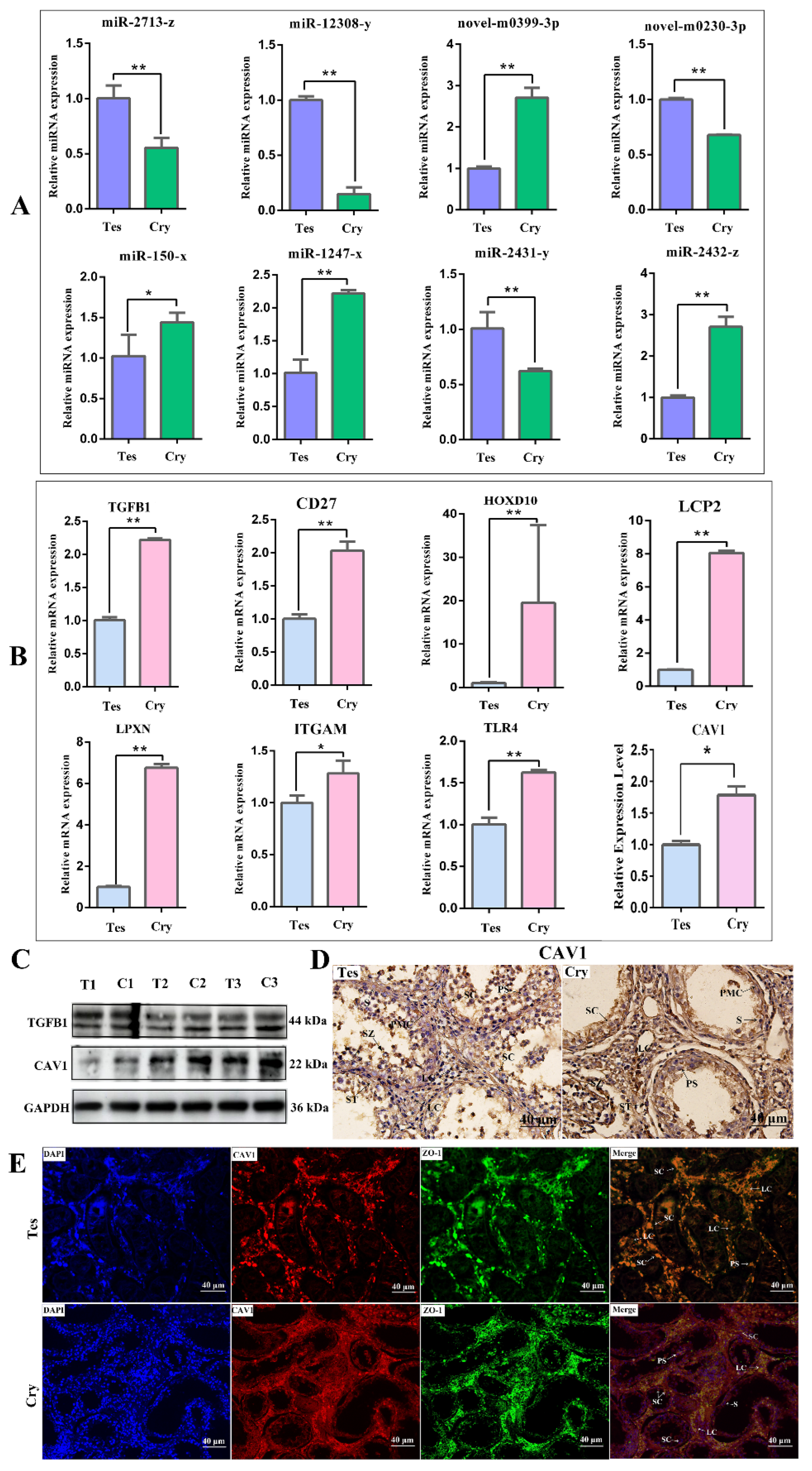Animals 14 00183 g004