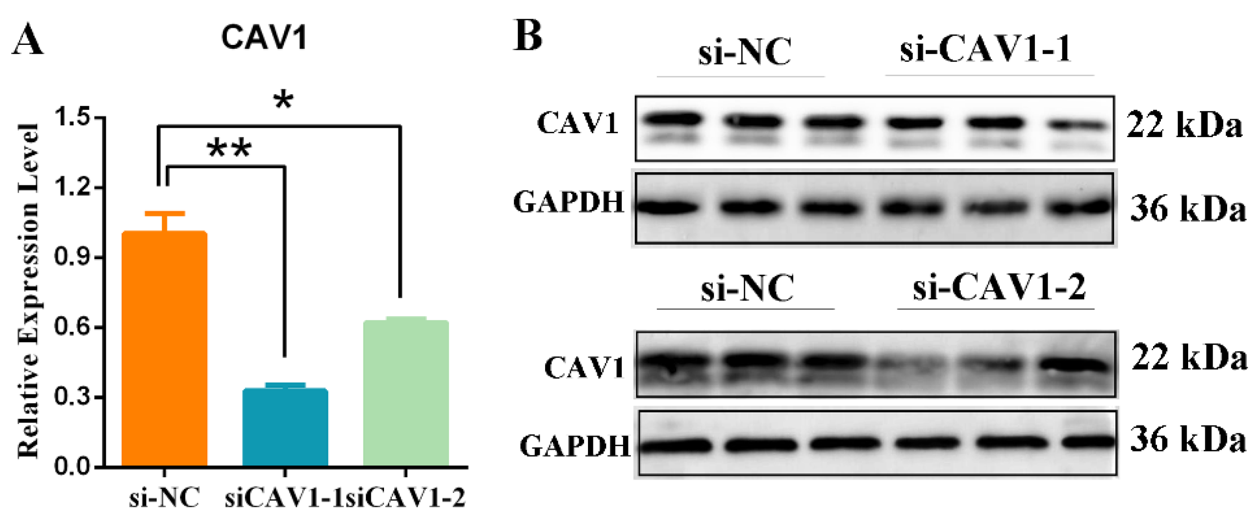 Animals 14 00183 g006