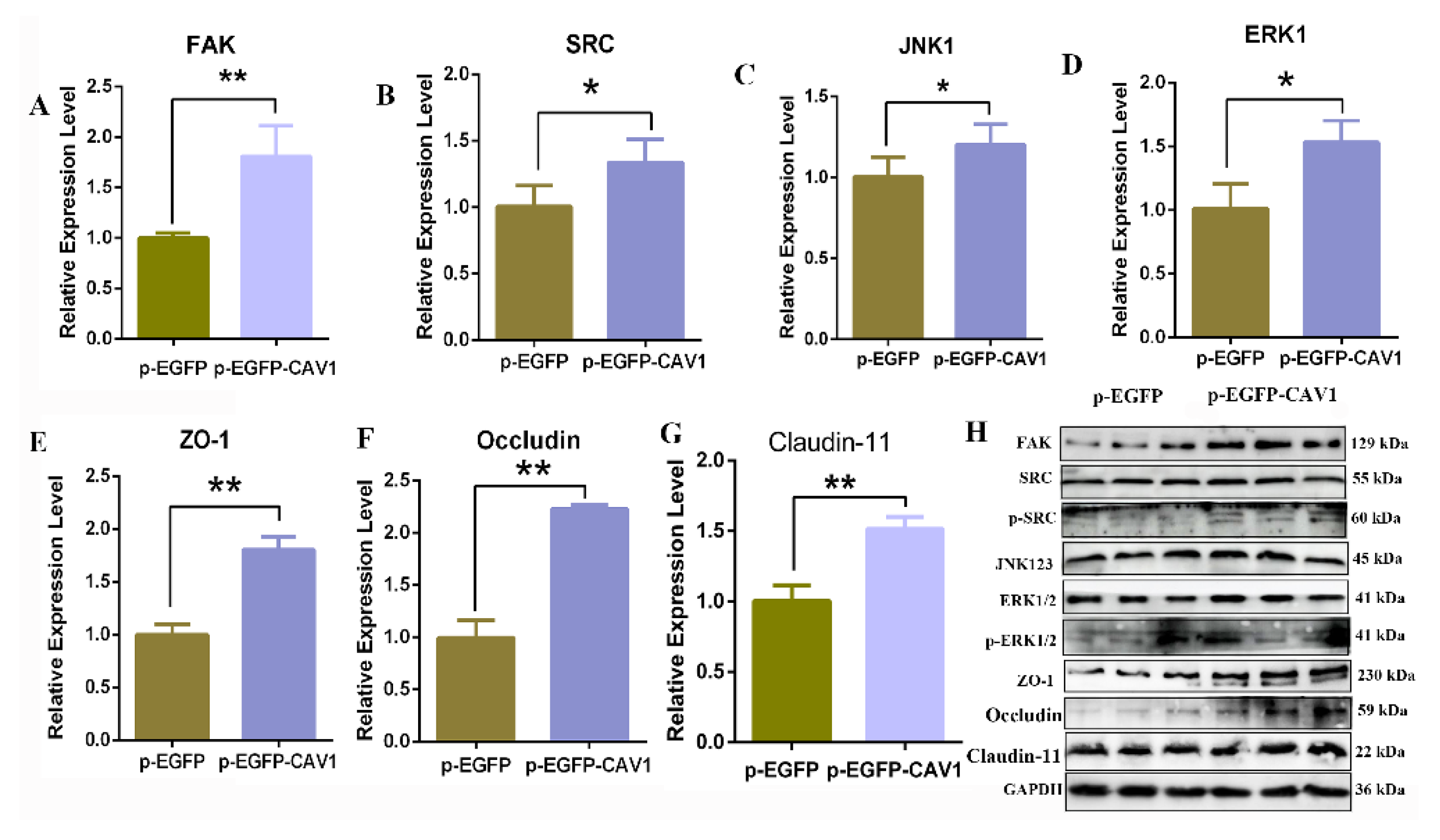 Animals 14 00183 g007