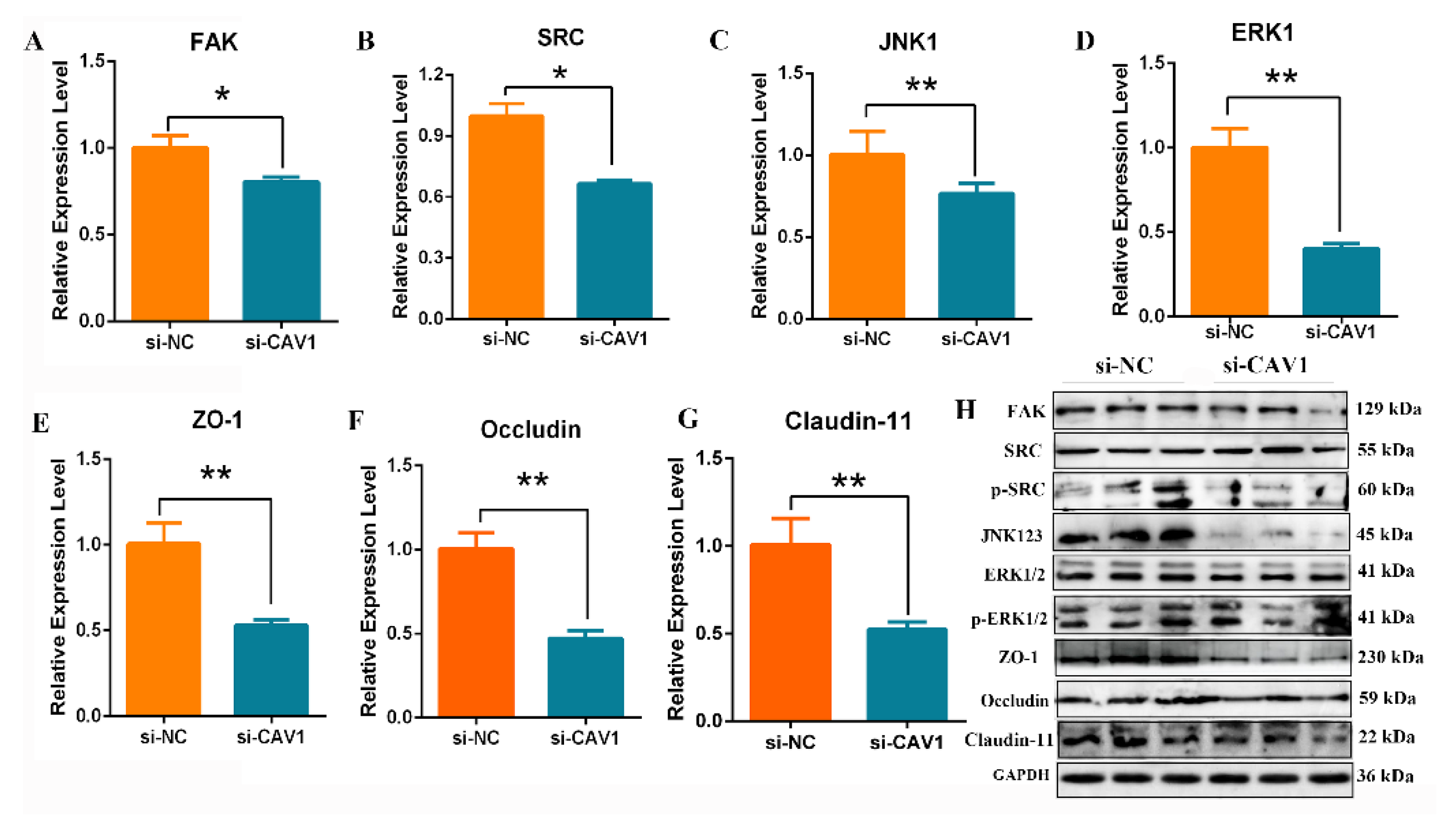 Animals 14 00183 g008