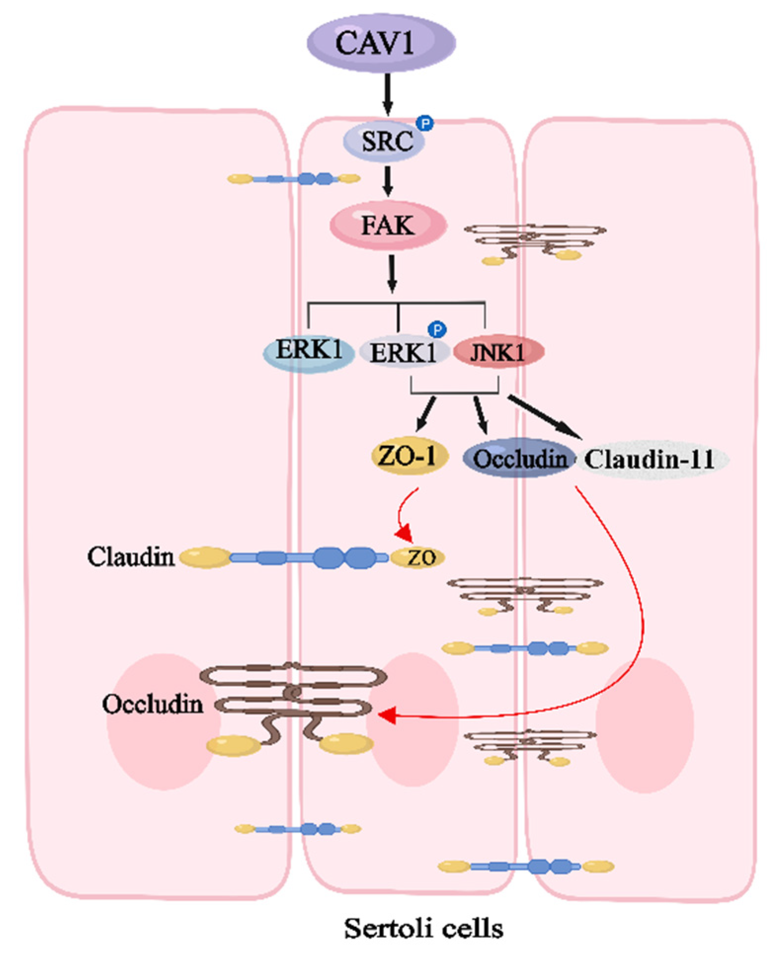 Animals 14 00183 g009