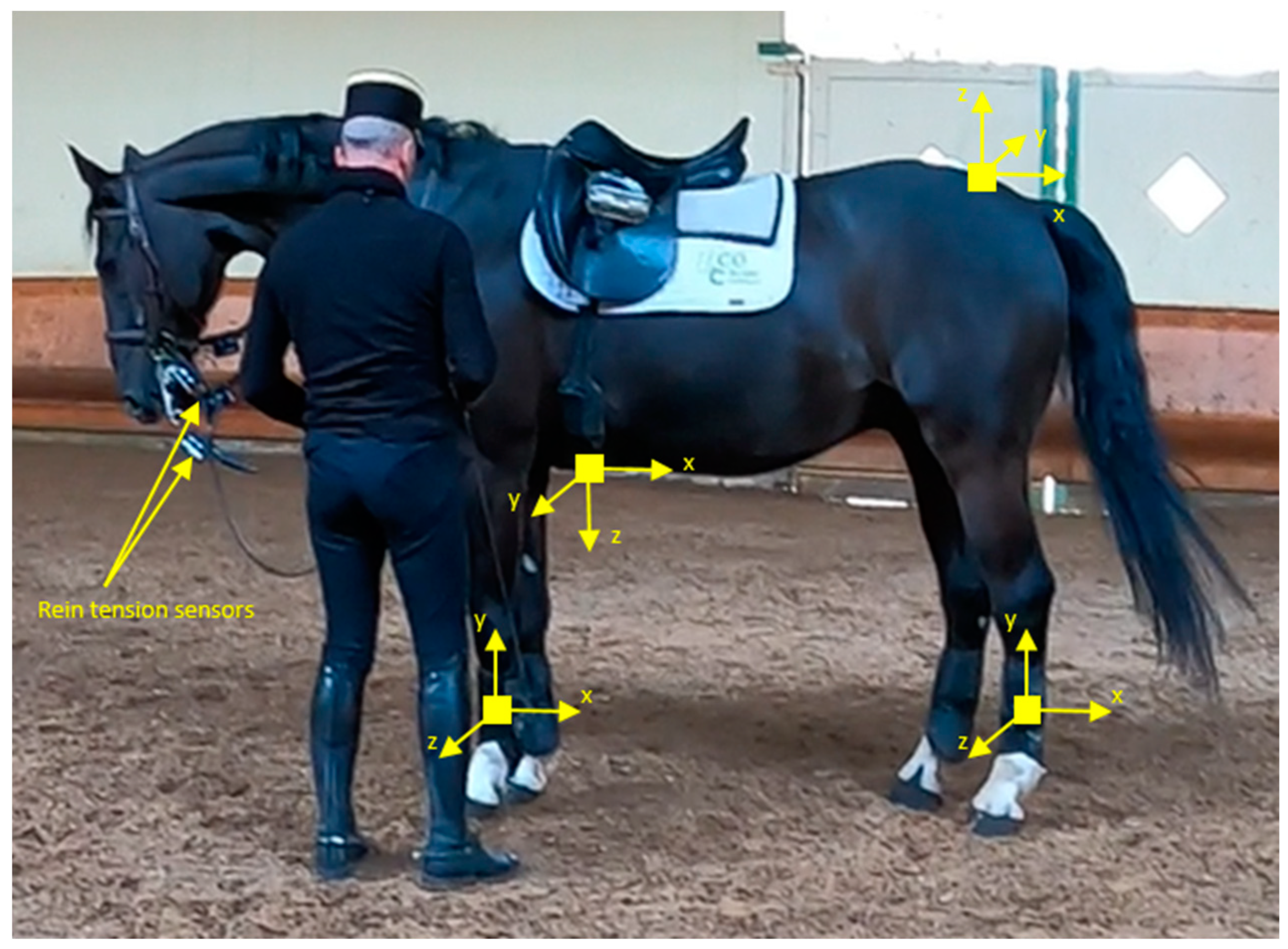 Animals 14 00189 g001 Animals 14 00189 g001